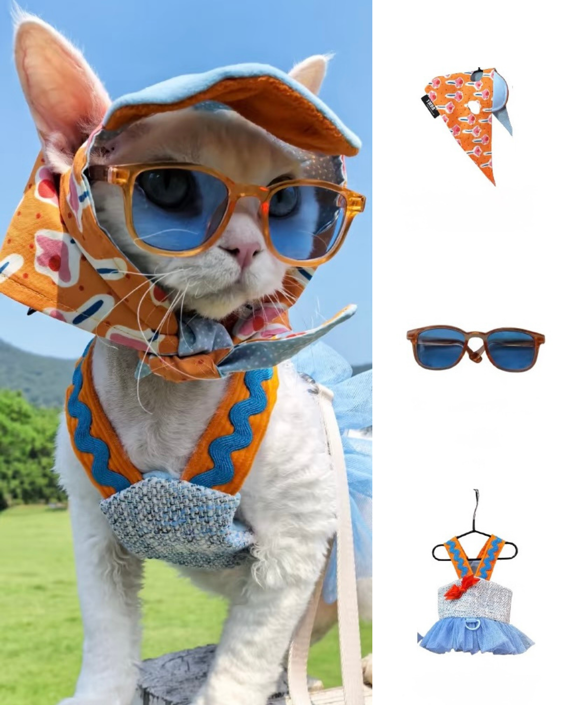 Dog Photoshoot Outfit Ideas