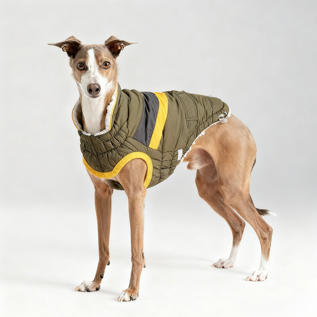 ARIMO “Trail Stripe Puffer” Dog Jacket