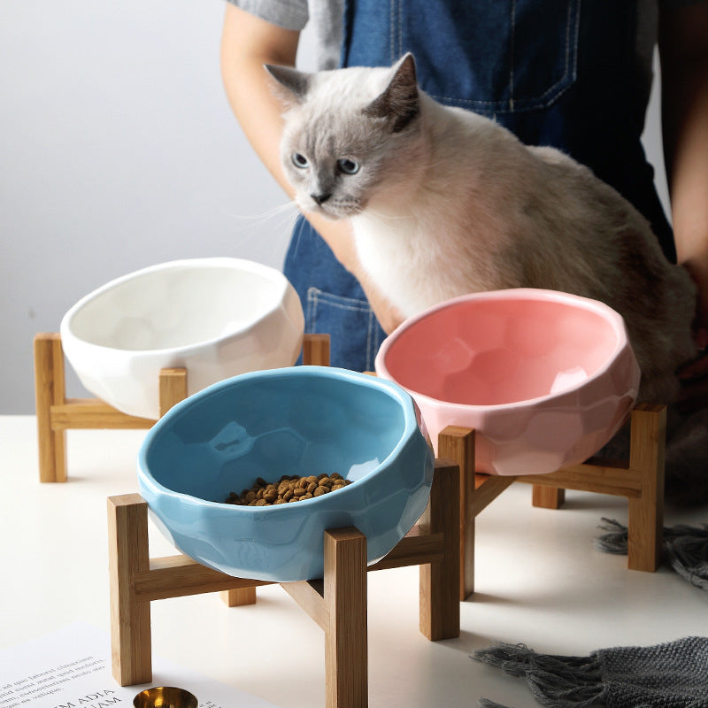 Elevated Ceramic Pet Bowl with Wooden Stand
