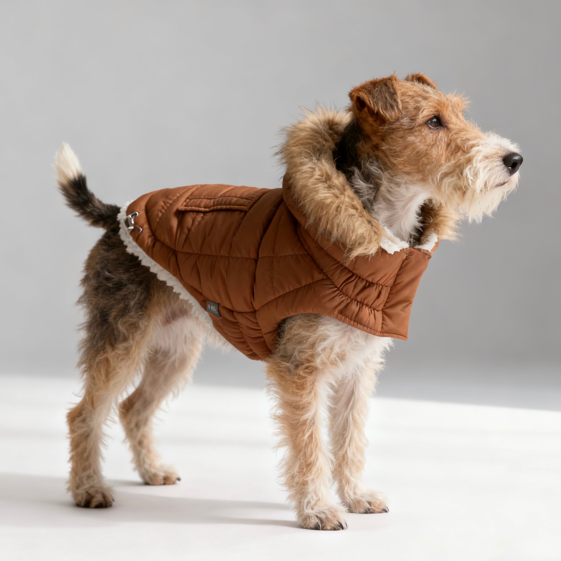 ARIMO “Urban Classic” Dog Parka