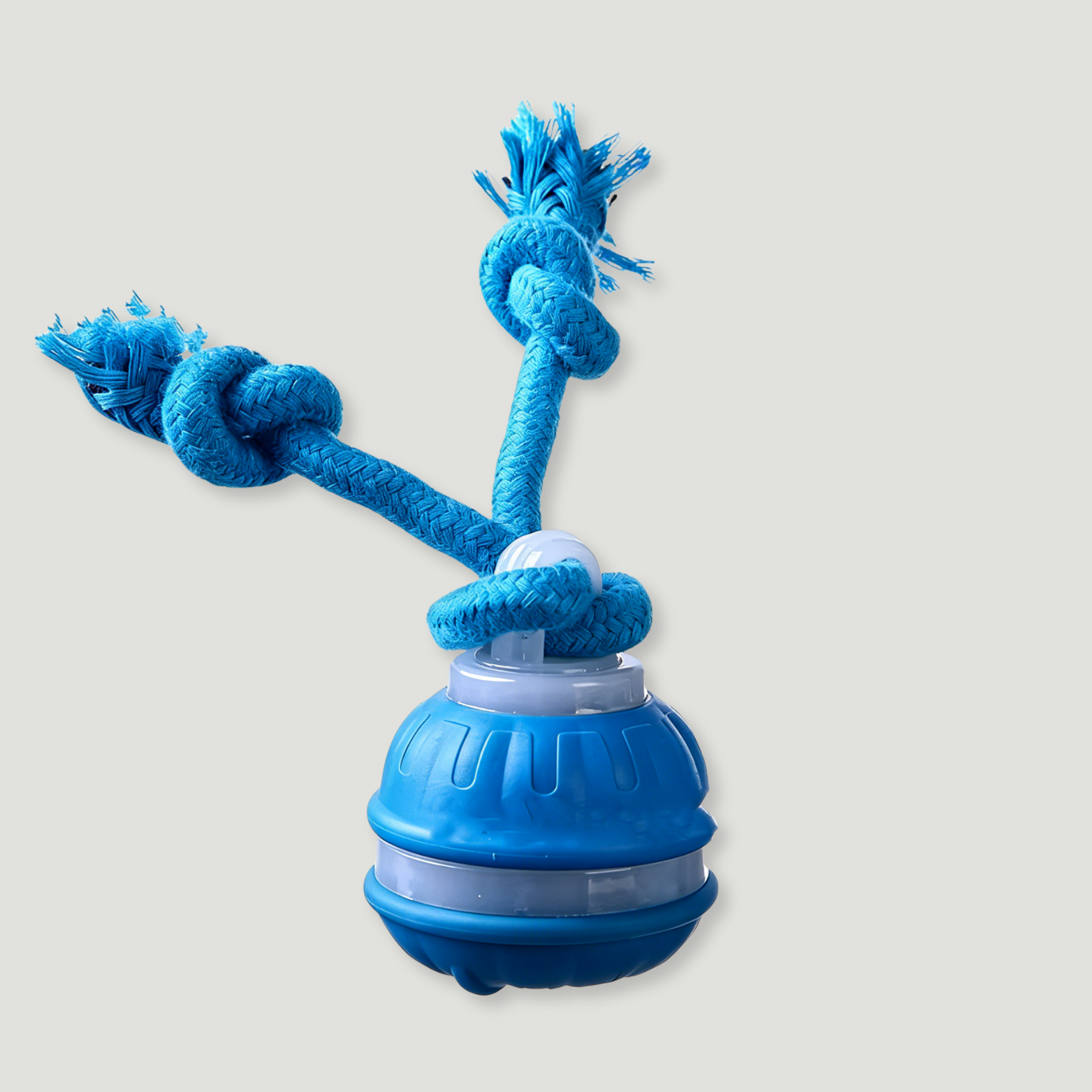 Interactive Motion-Activated Dog Ball Toy