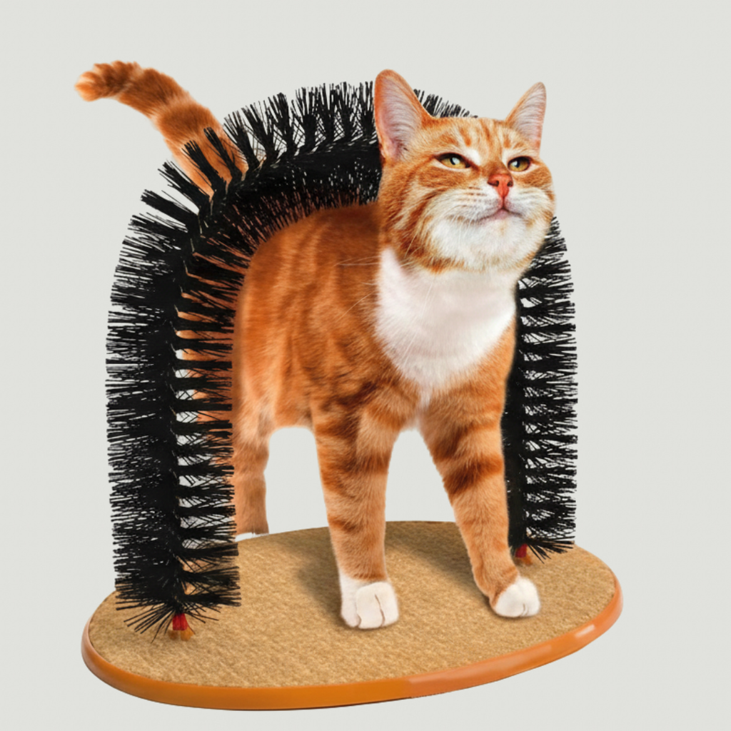 ARIMO Self-Grooming Cat Arch Toy