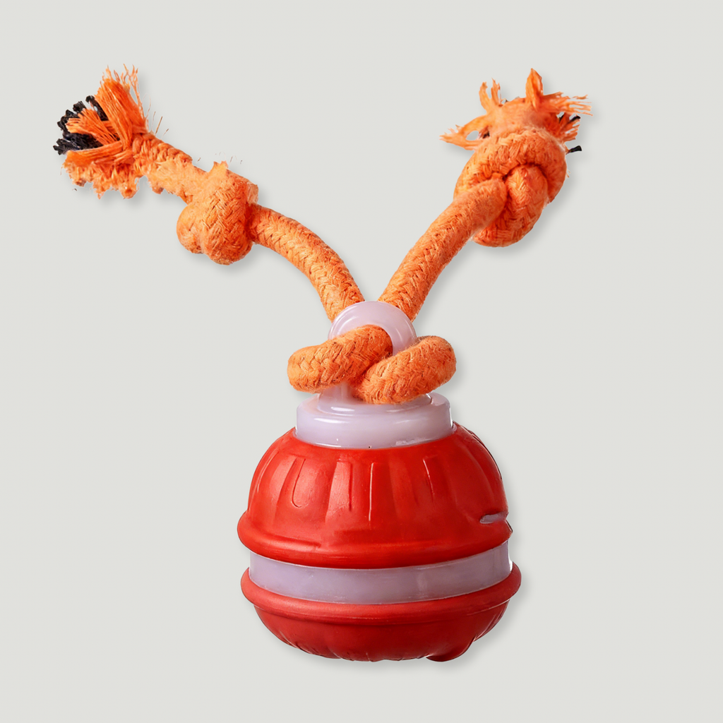 Interactive Motion-Activated Dog Ball Toy