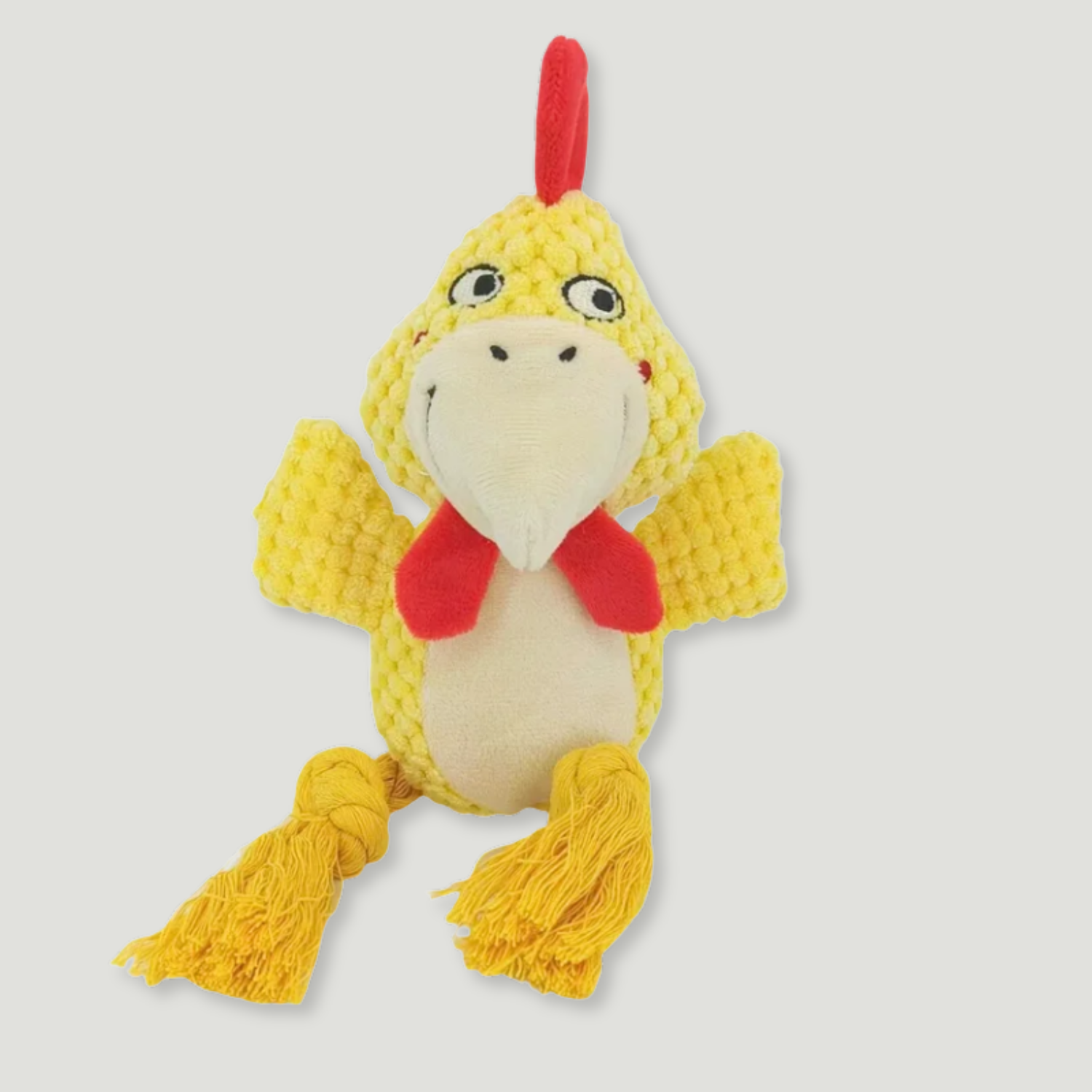 Little Buddies Crinkle & Squeaky Plush Dog Toy