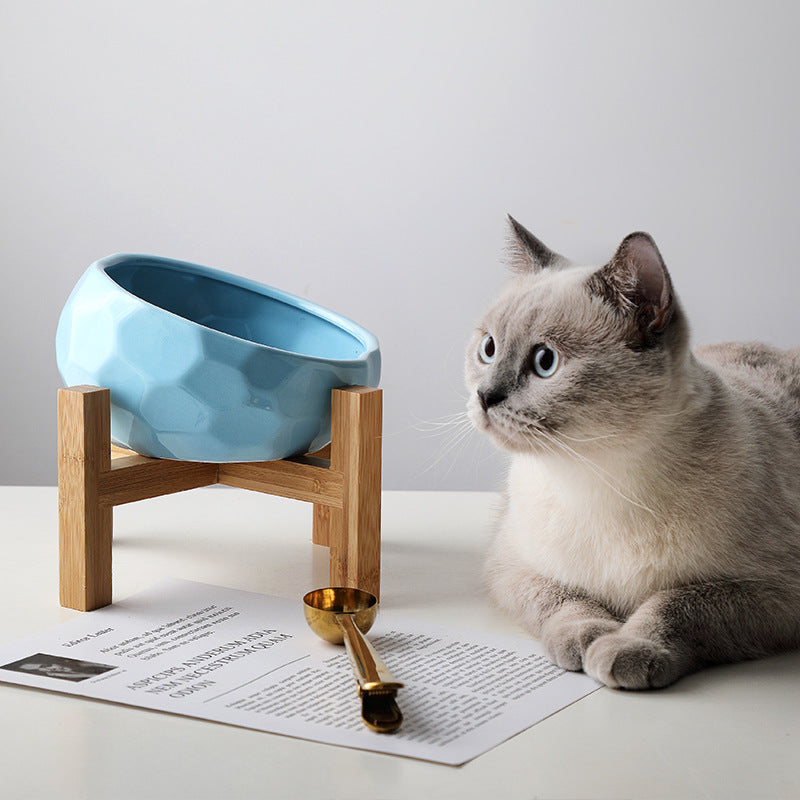 Elevated Ceramic Pet Bowl with Wooden Stand