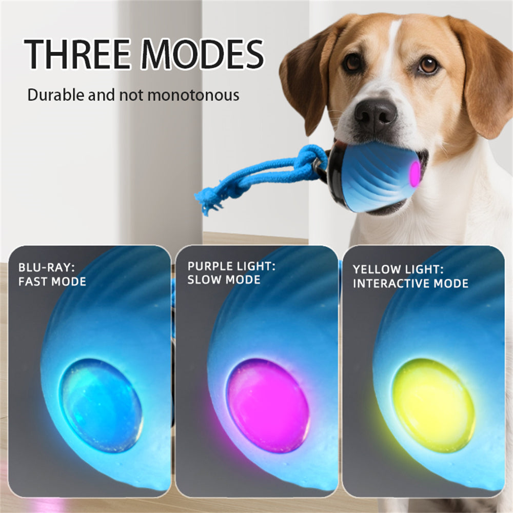 Automatic Interactive Dog Ball Toy
