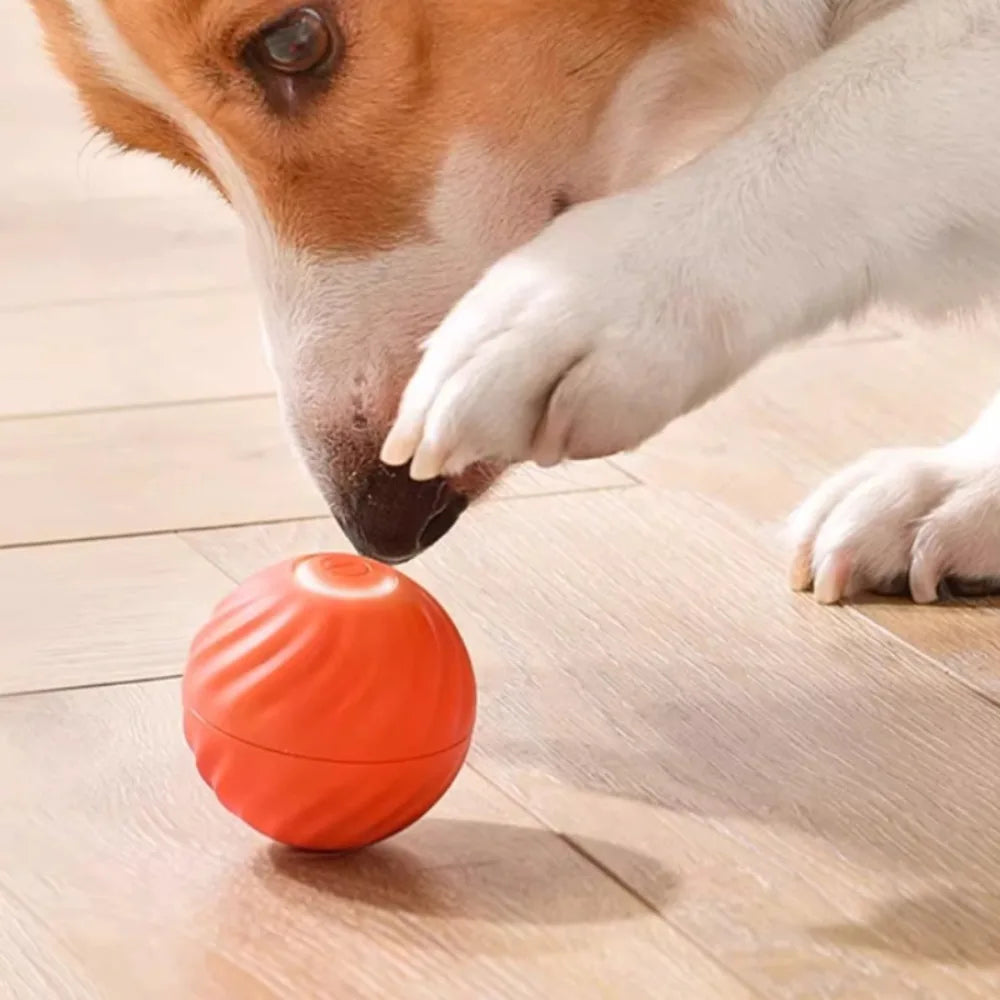 Interactive Moving Dog Ball Toy – USB Rechargeable Smart Jumping Ball for Dogs