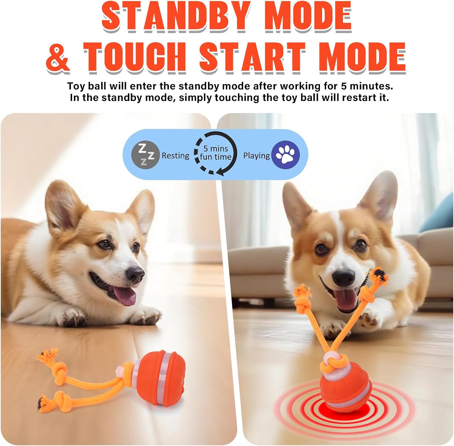 Interactive Motion-Activated Dog Ball Toy