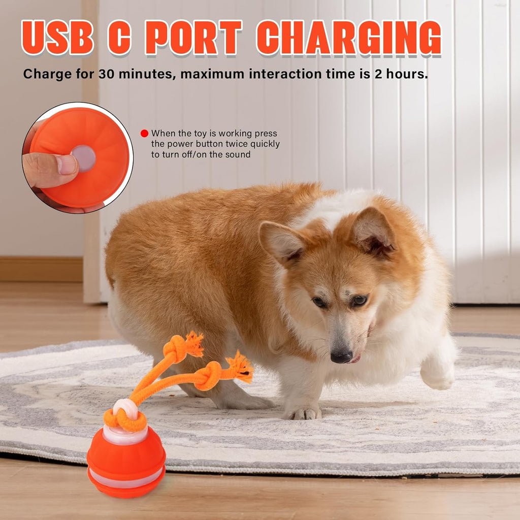 Interactive Motion-Activated Dog Ball Toy