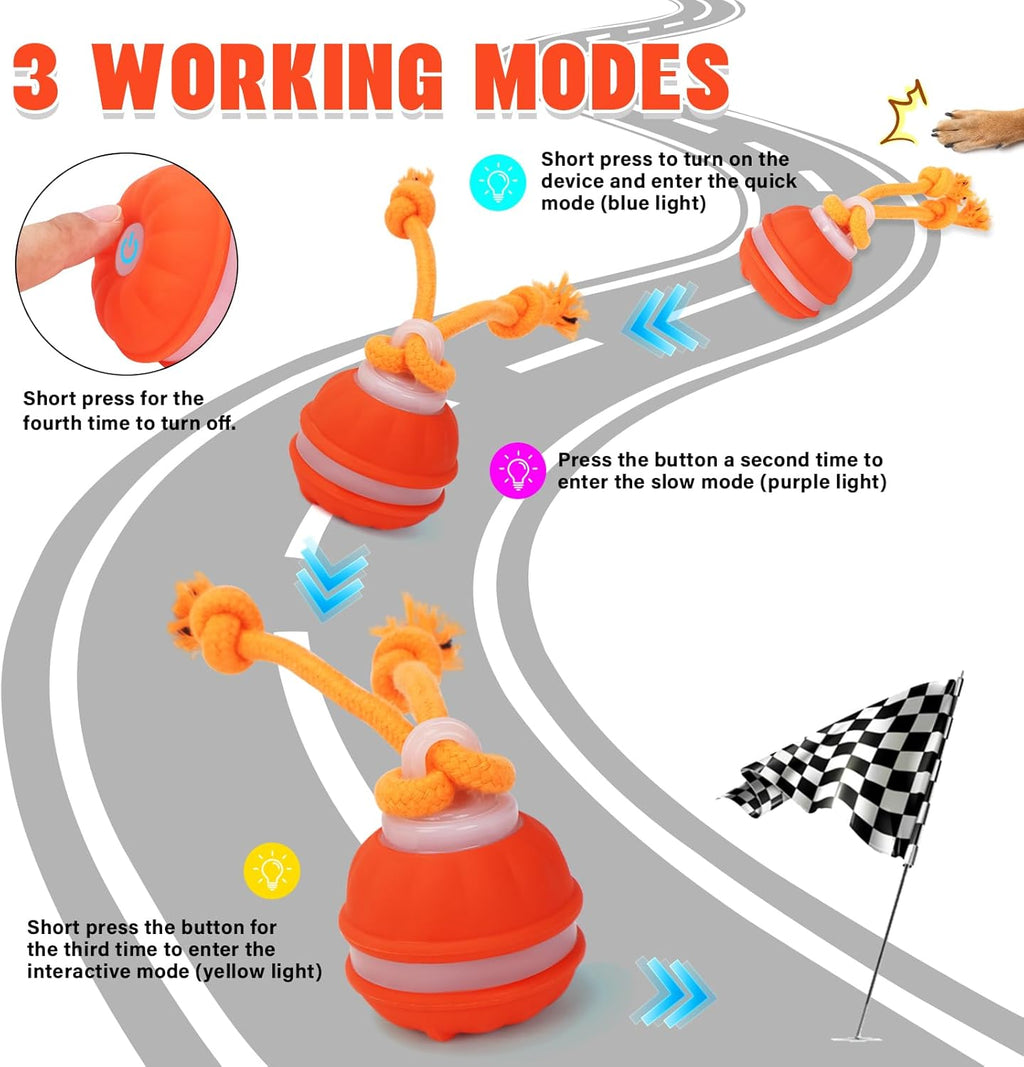 Interactive Motion-Activated Dog Ball Toy