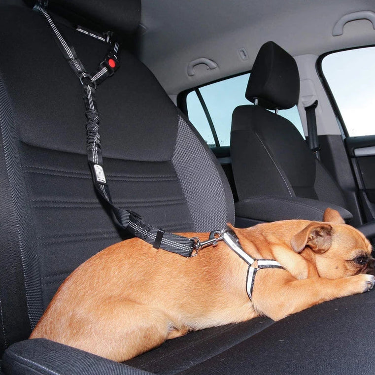 2-in-1 Adjustable Dog Cat Car Seat Belt & Headrest Safety Leash
