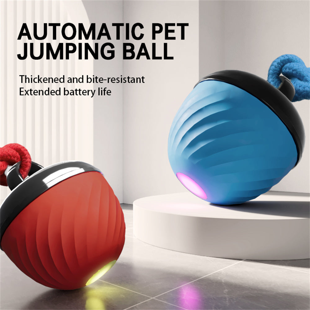 Automatic Interactive Dog Ball Toy