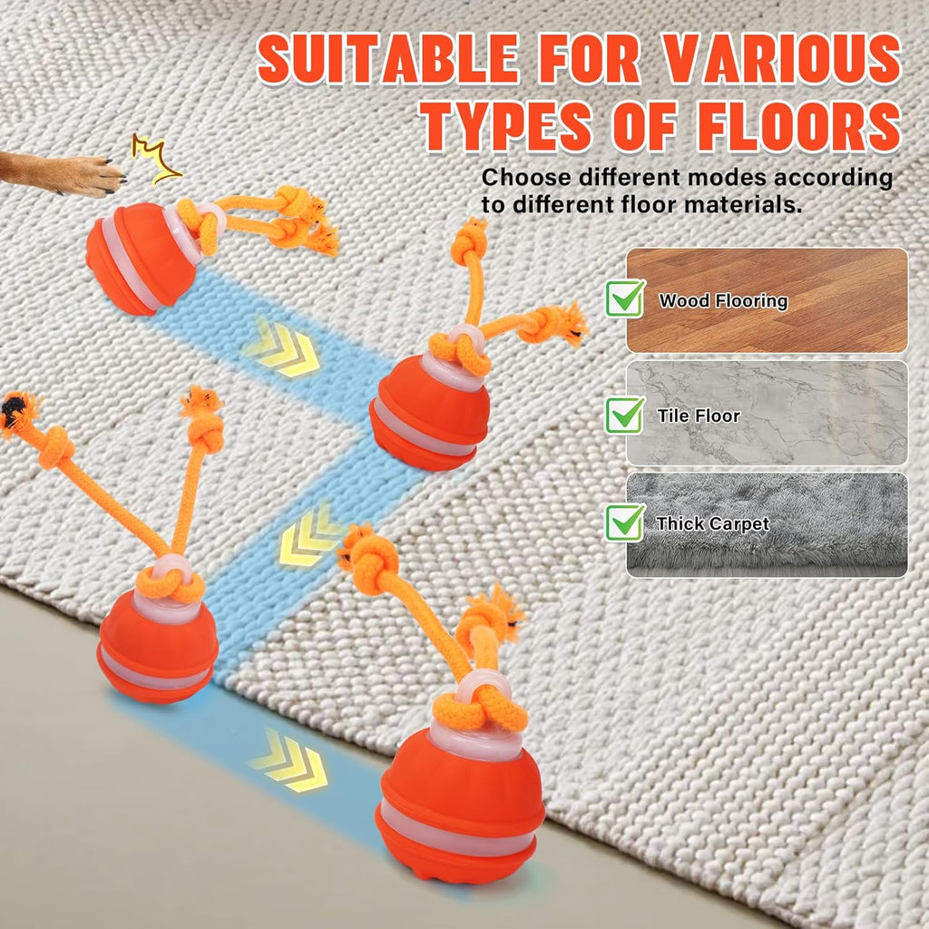 Interactive Motion-Activated Dog Ball Toy