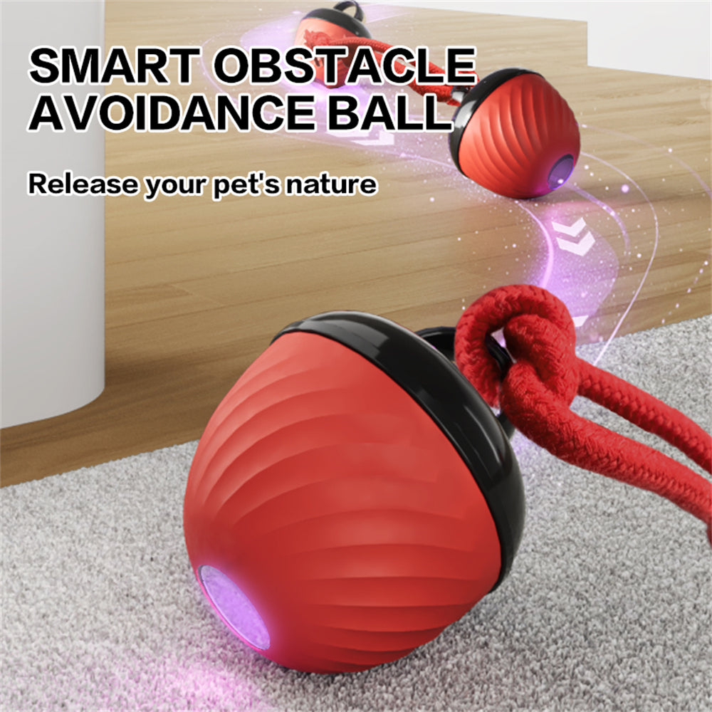 Automatic Interactive Dog Ball Toy