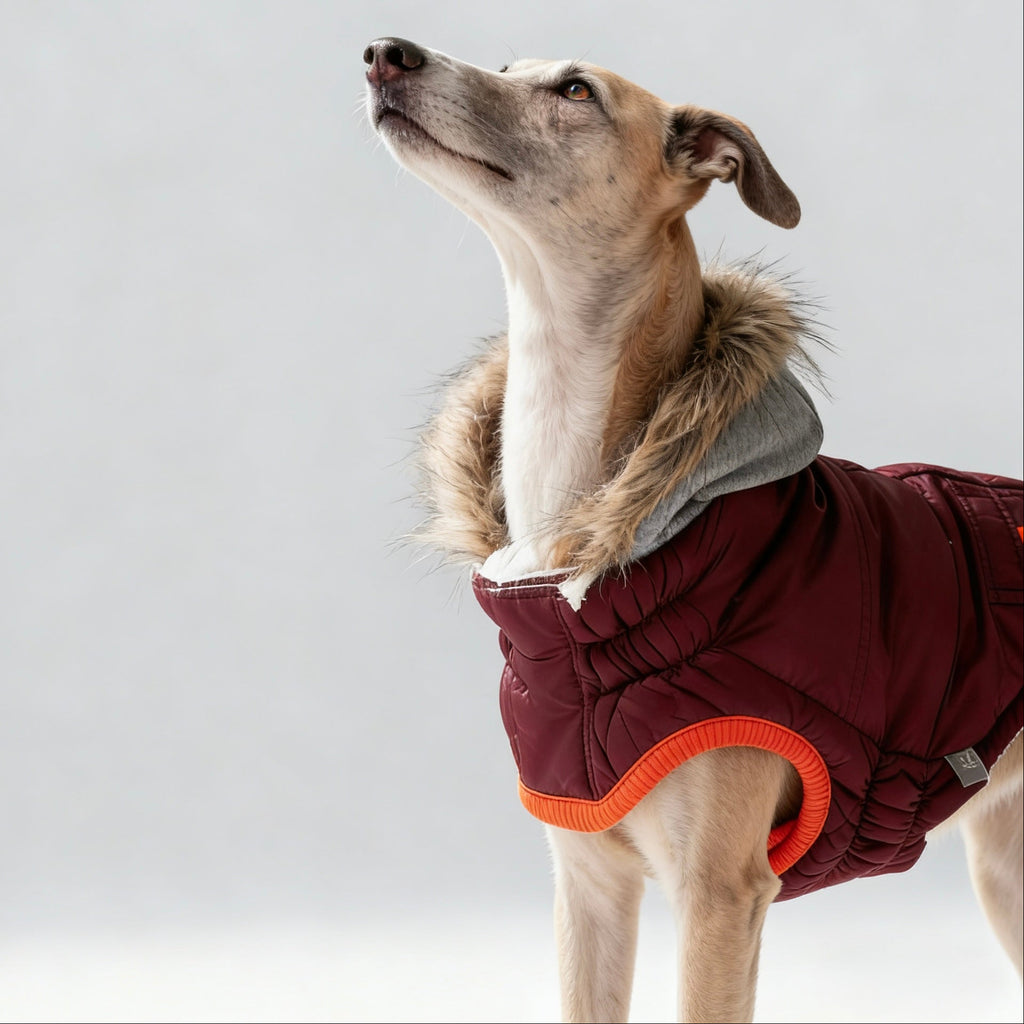 ARIMO “Winter Sailor” Dog Parka