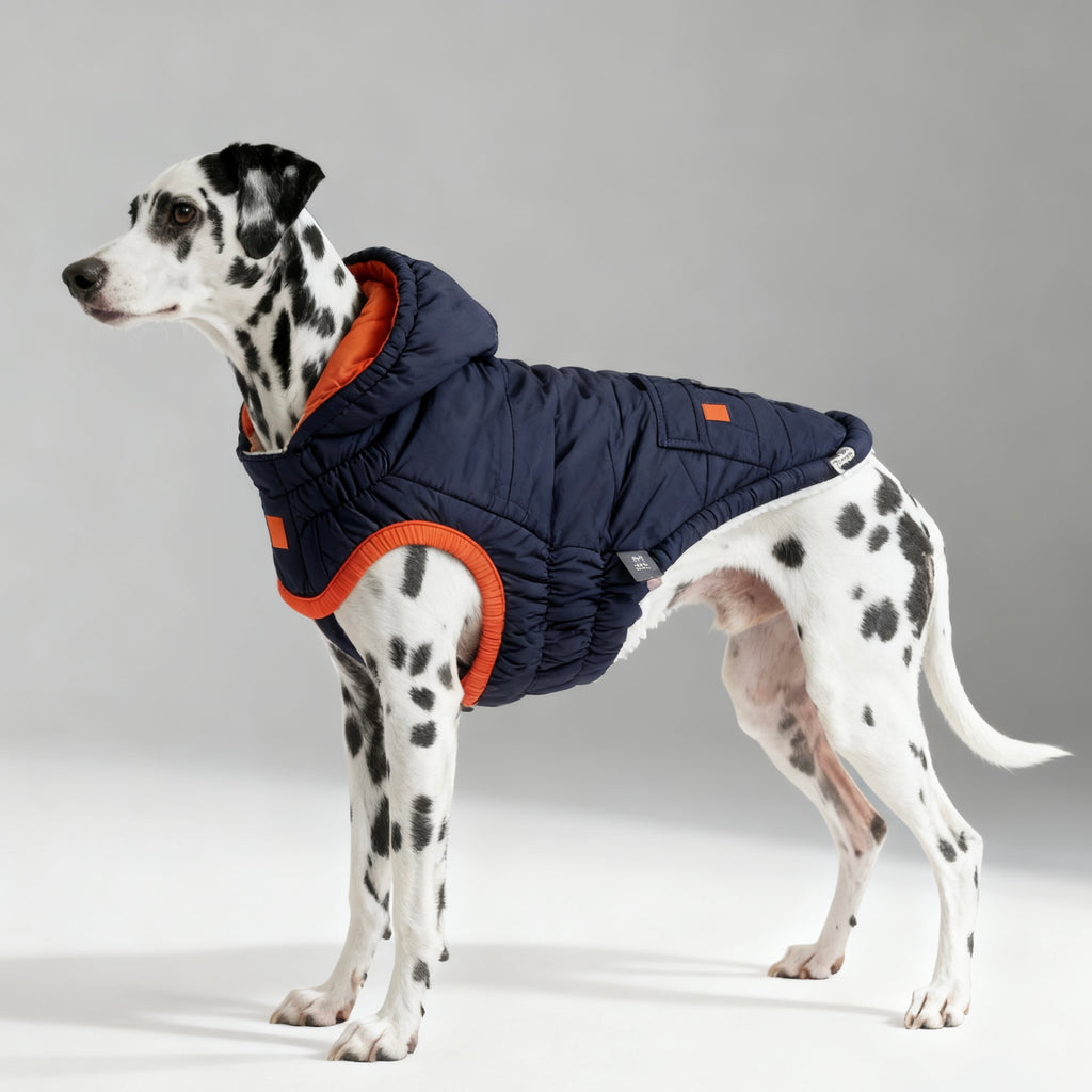 ARIMO “Winter Sailor” Dog Parka