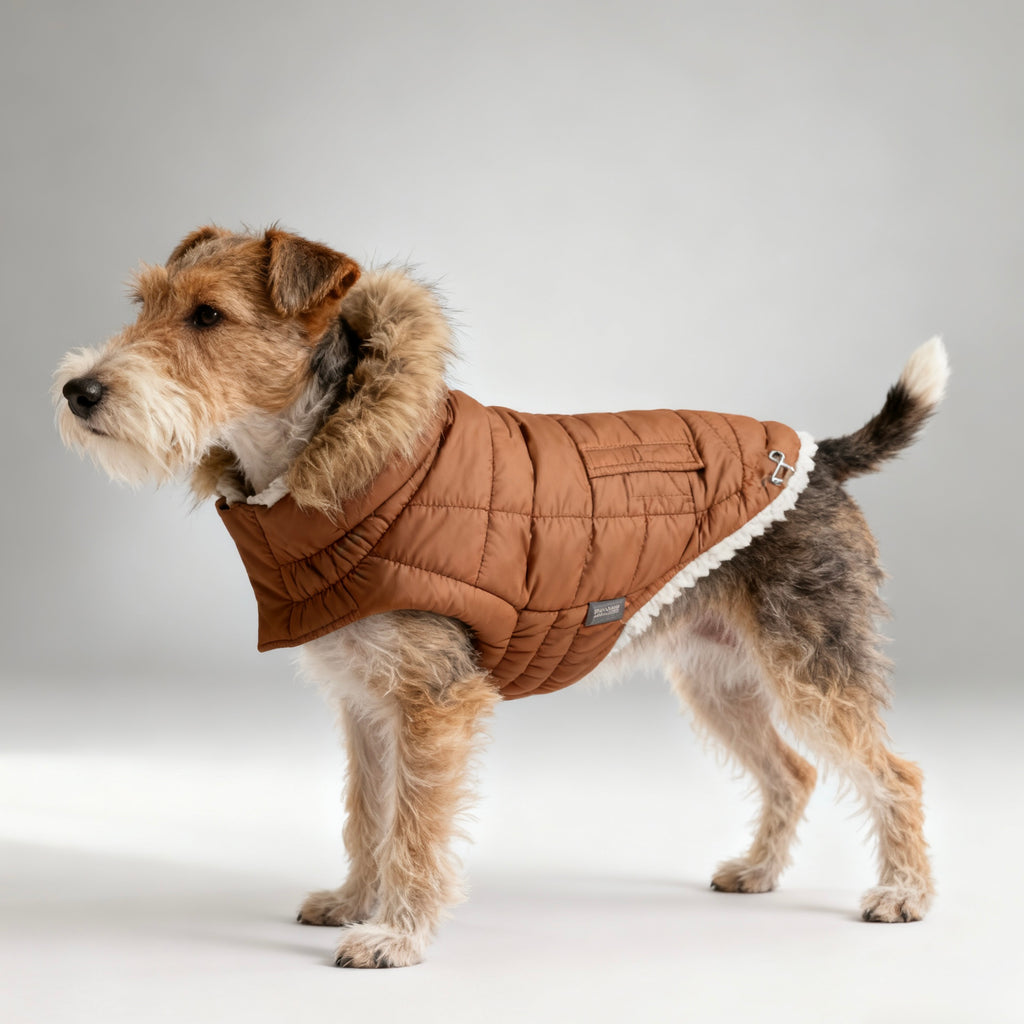 ARIMO “Urban Classic” Dog Parka