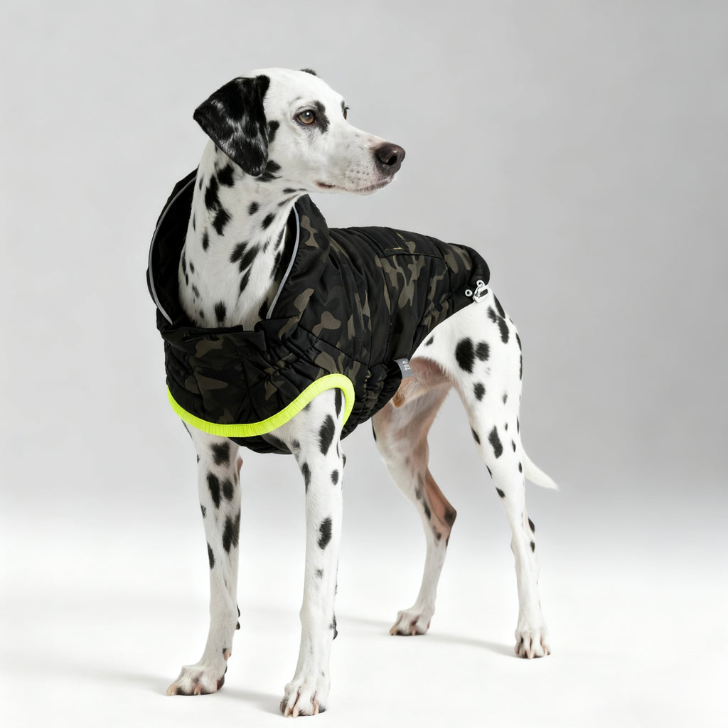 ARIMO “Eco Recycled” Dog Parka