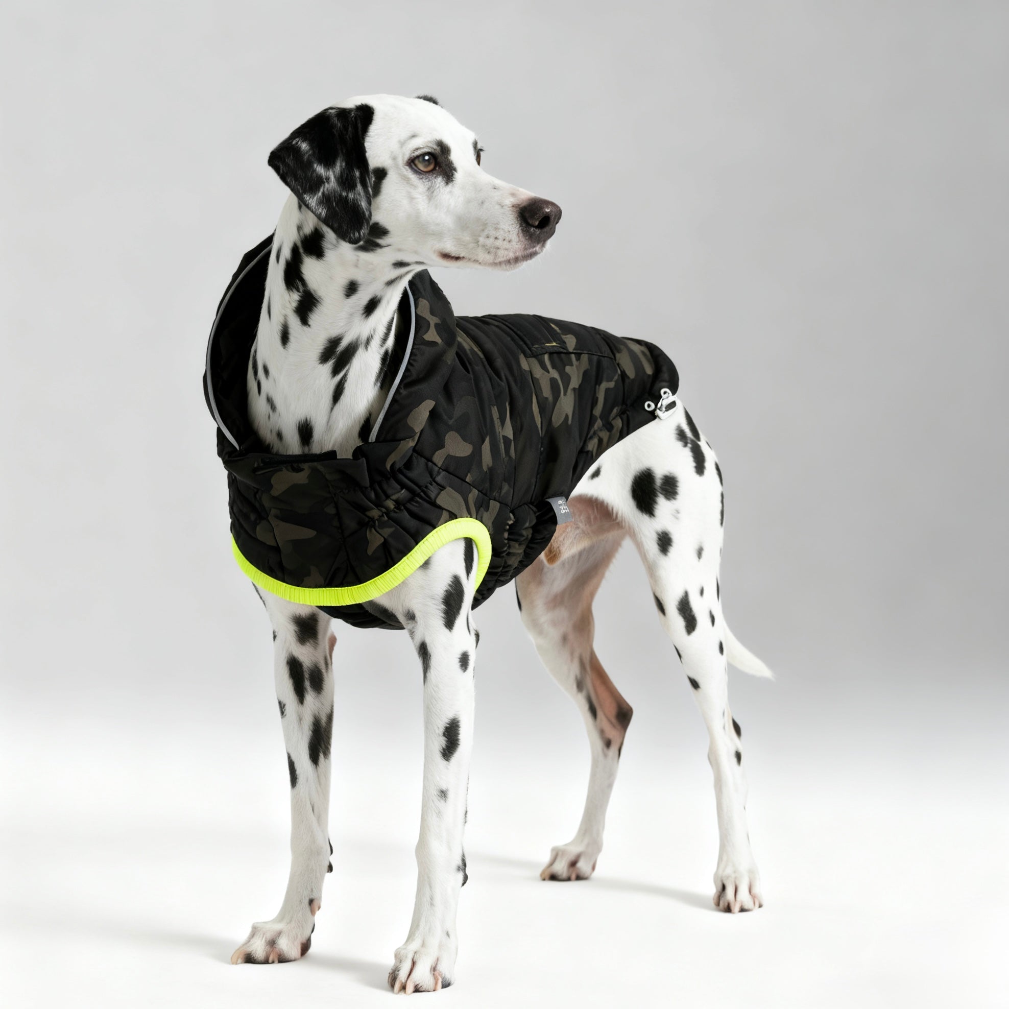 ARIMO “Eco Recycled” Dog Parka