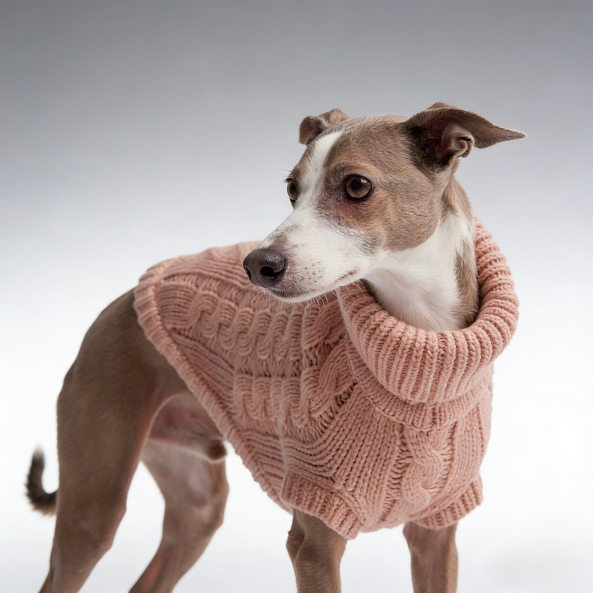 ARIMO “Chunky Cable-Knit” Dog Sweater — Pink