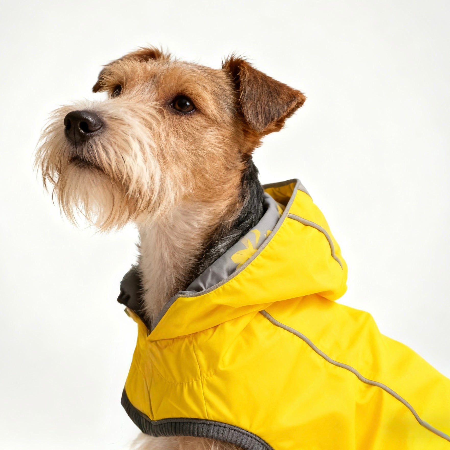 ARIMO “Reversible Rainshield” Dog Raincoat