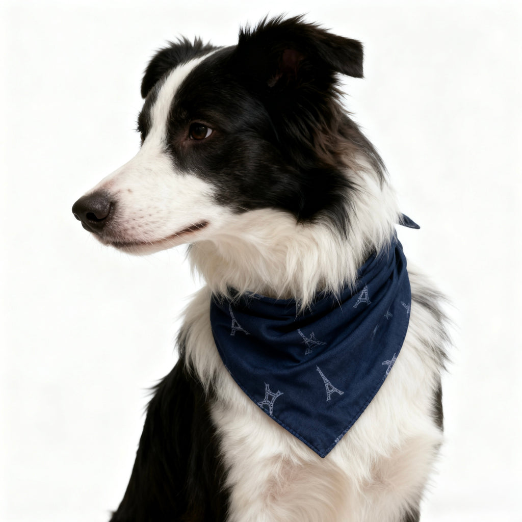 ARIMO “Paris Blue” Dog Bandana