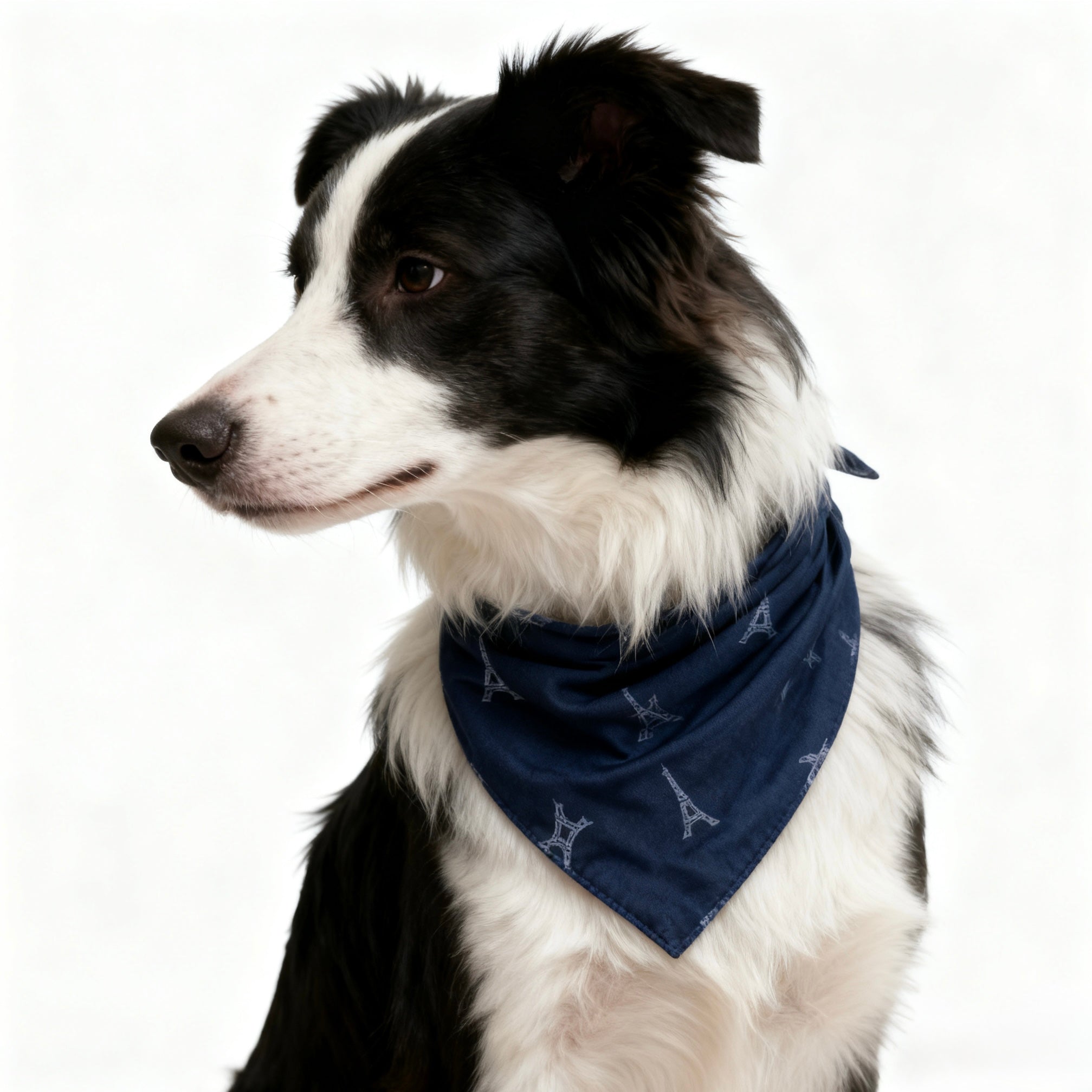 ARIMO “Paris Blue” Dog Bandana
