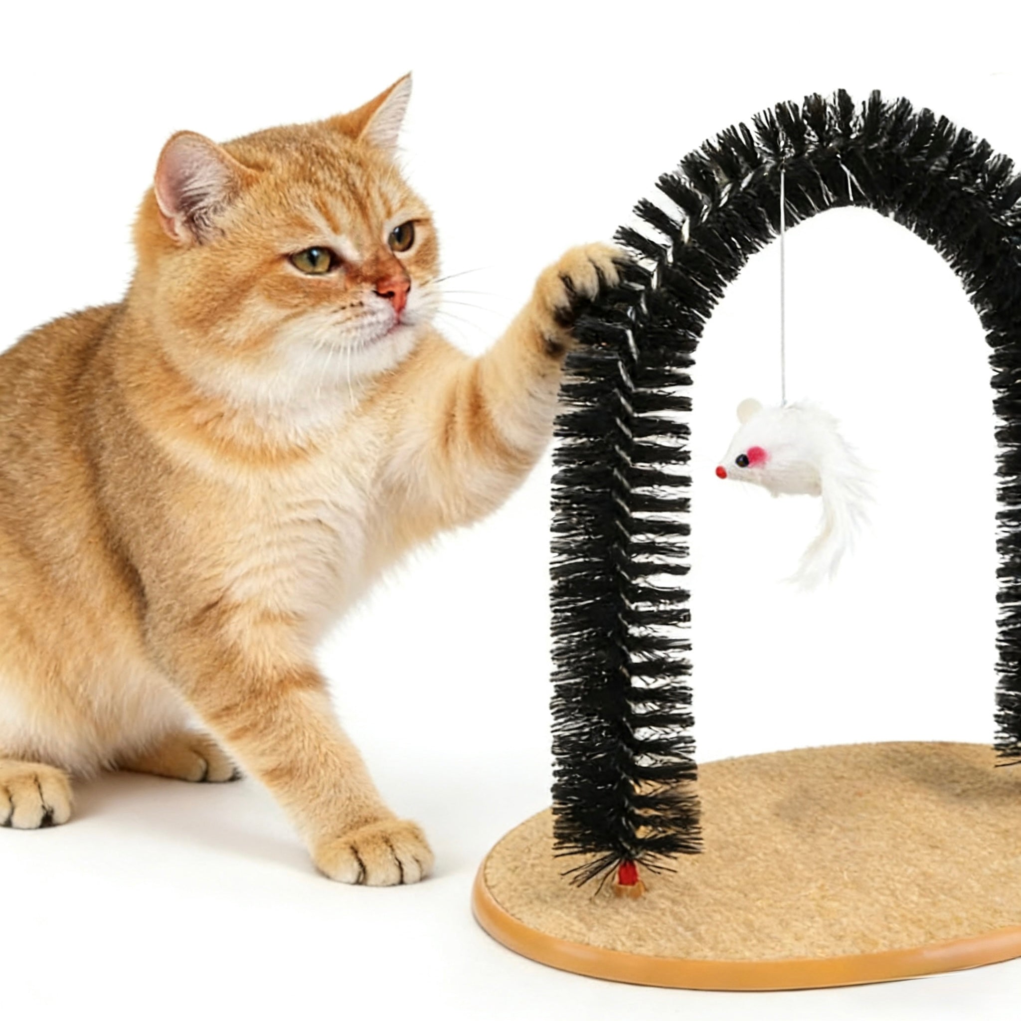 ARIMO Self-Grooming Cat Arch Toy