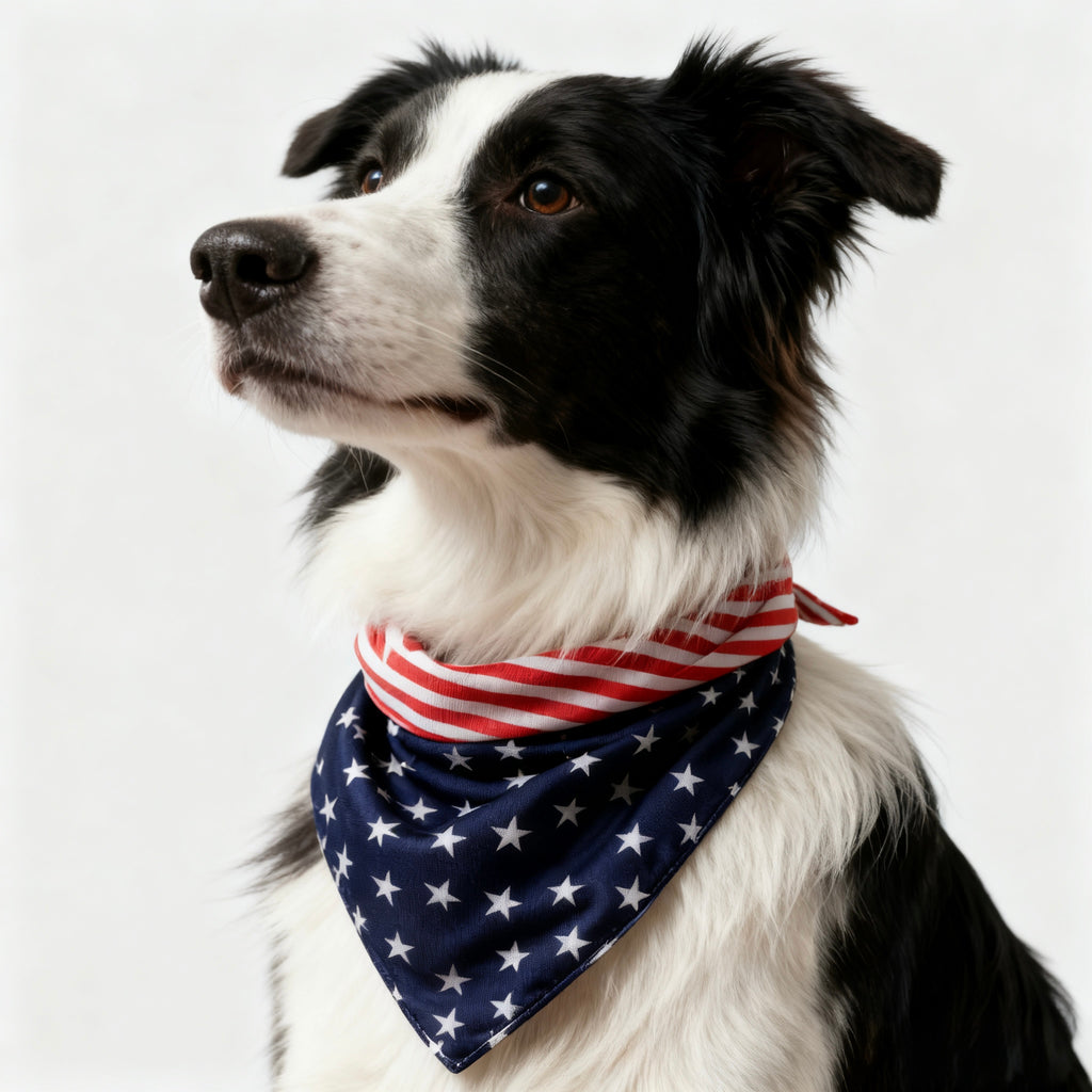 ARIMO “Patriot Stars” Dog Bandana
