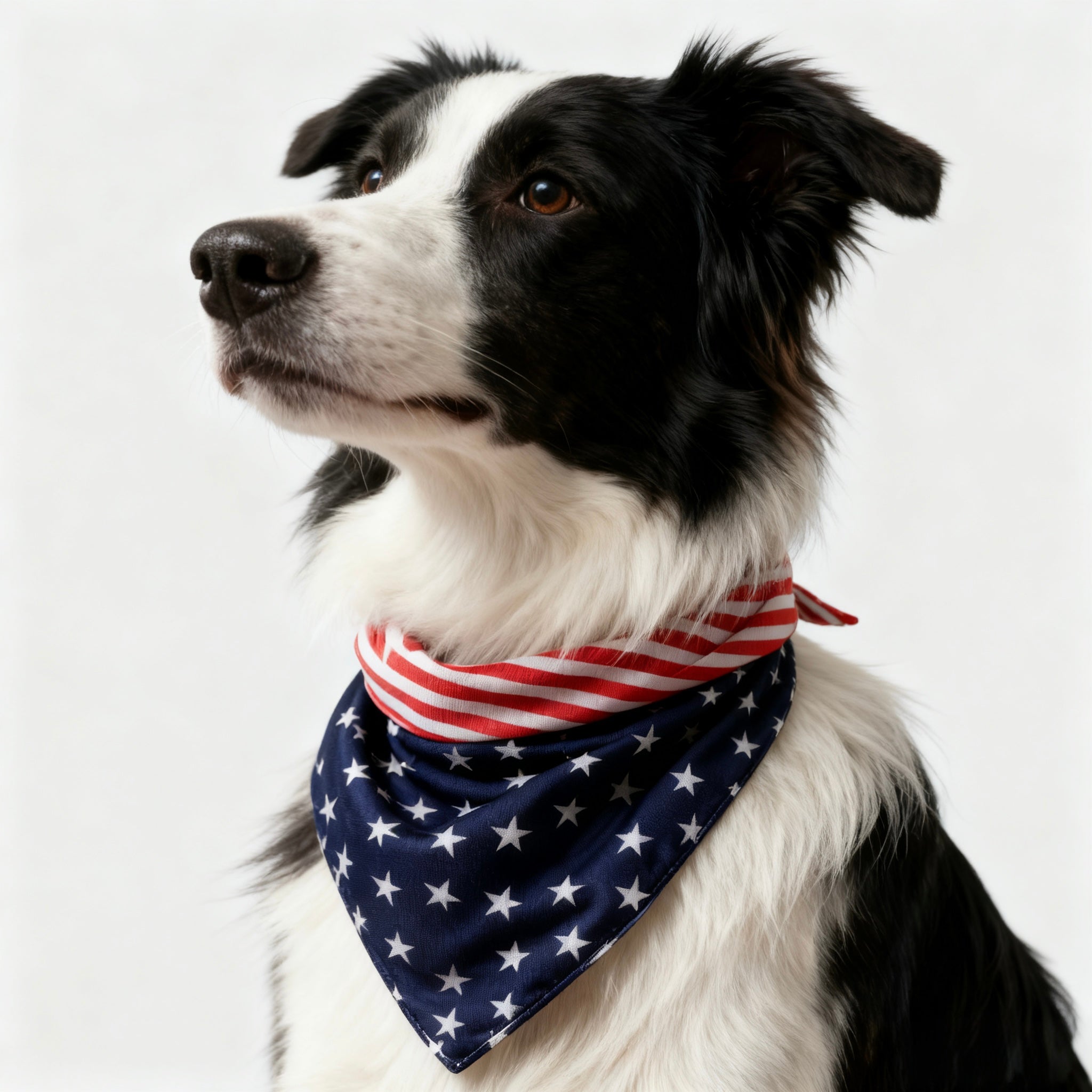 ARIMO “Patriot Stars” Dog Bandana