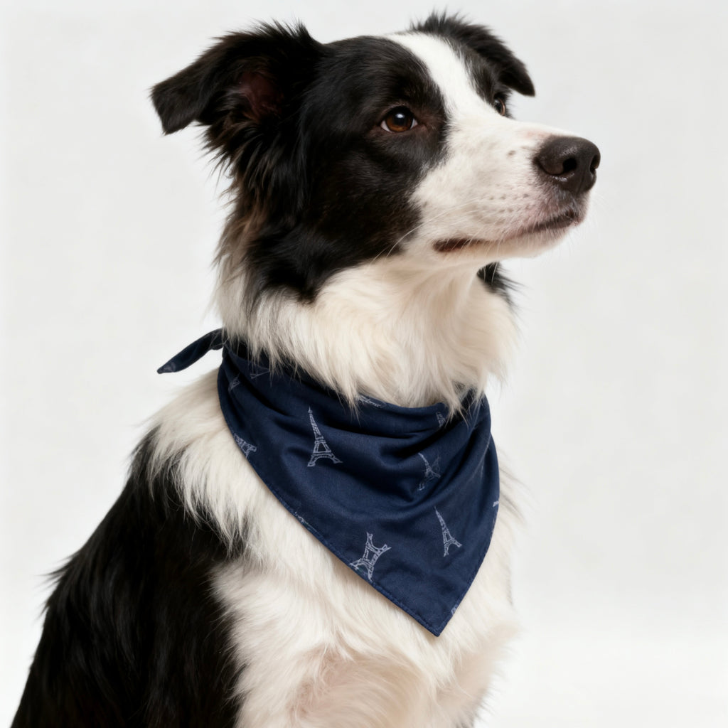 ARIMO “Paris Blue” Dog Bandana