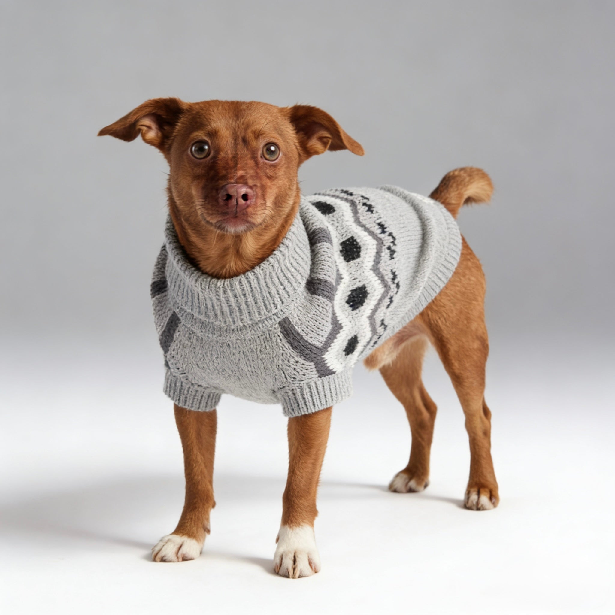 ARIMO “Heritage Knit” Dog Sweater — Grey Mix
