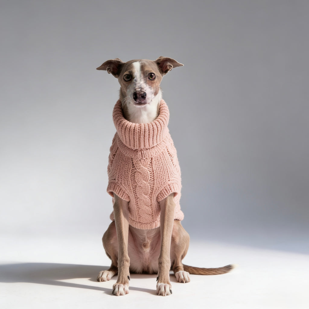 ARIMO “Chunky Cable-Knit” Dog Sweater — Pink