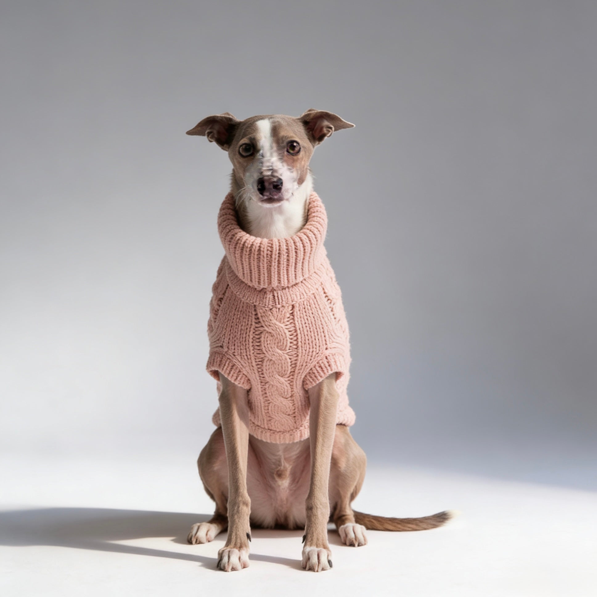 ARIMO “Chunky Cable-Knit” Dog Sweater — Pink