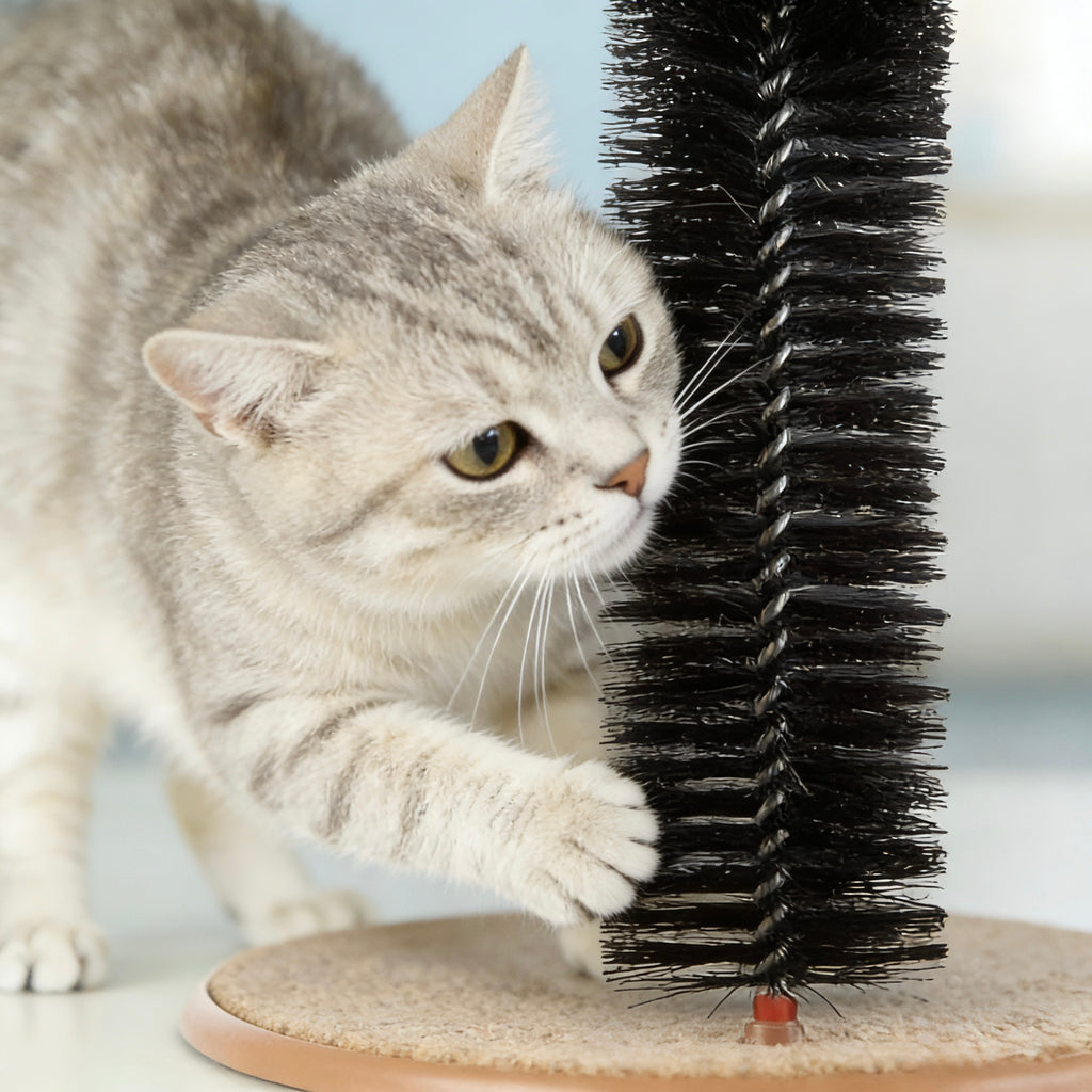 ARIMO Self-Grooming Cat Arch Toy