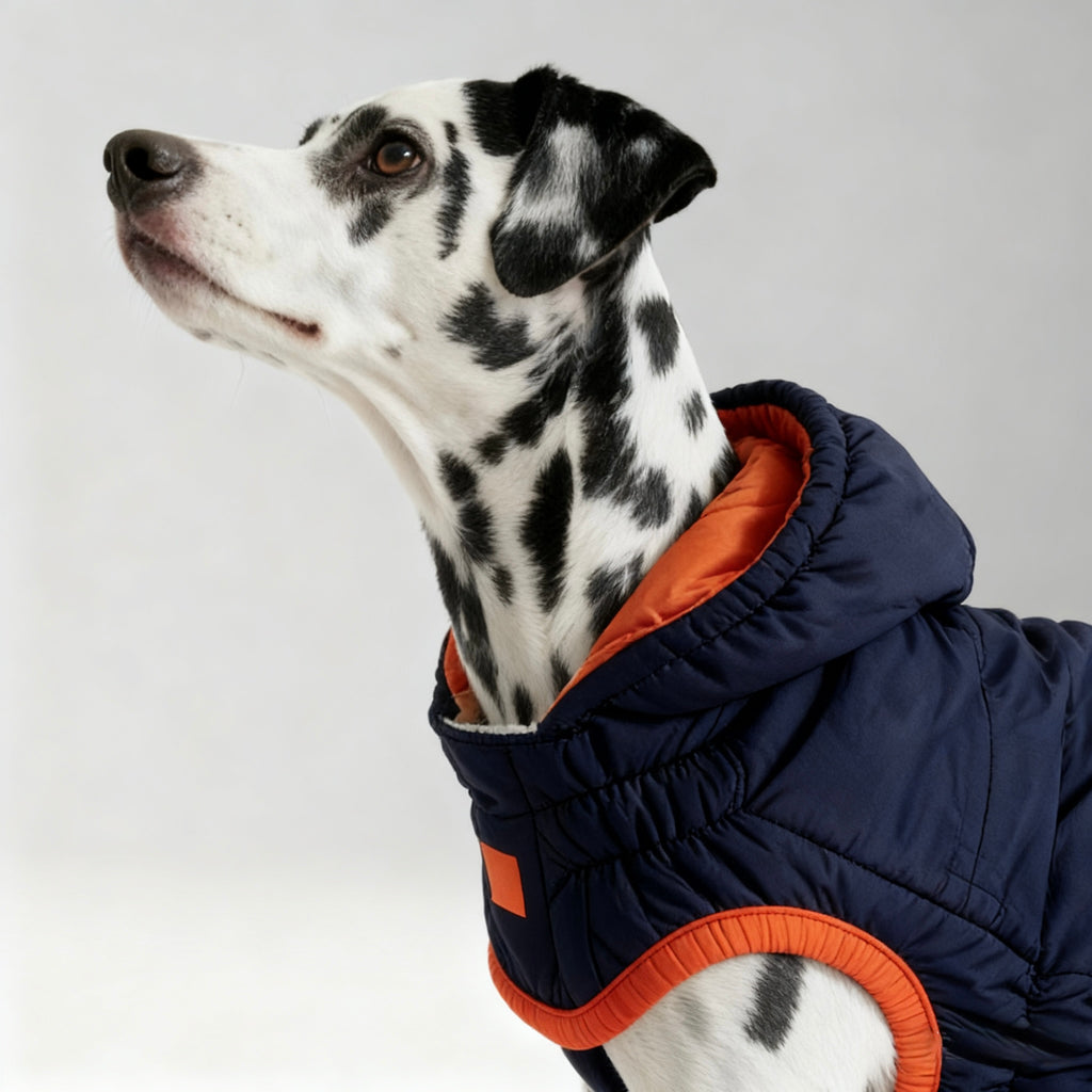 ARIMO “Winter Sailor” Dog Parka