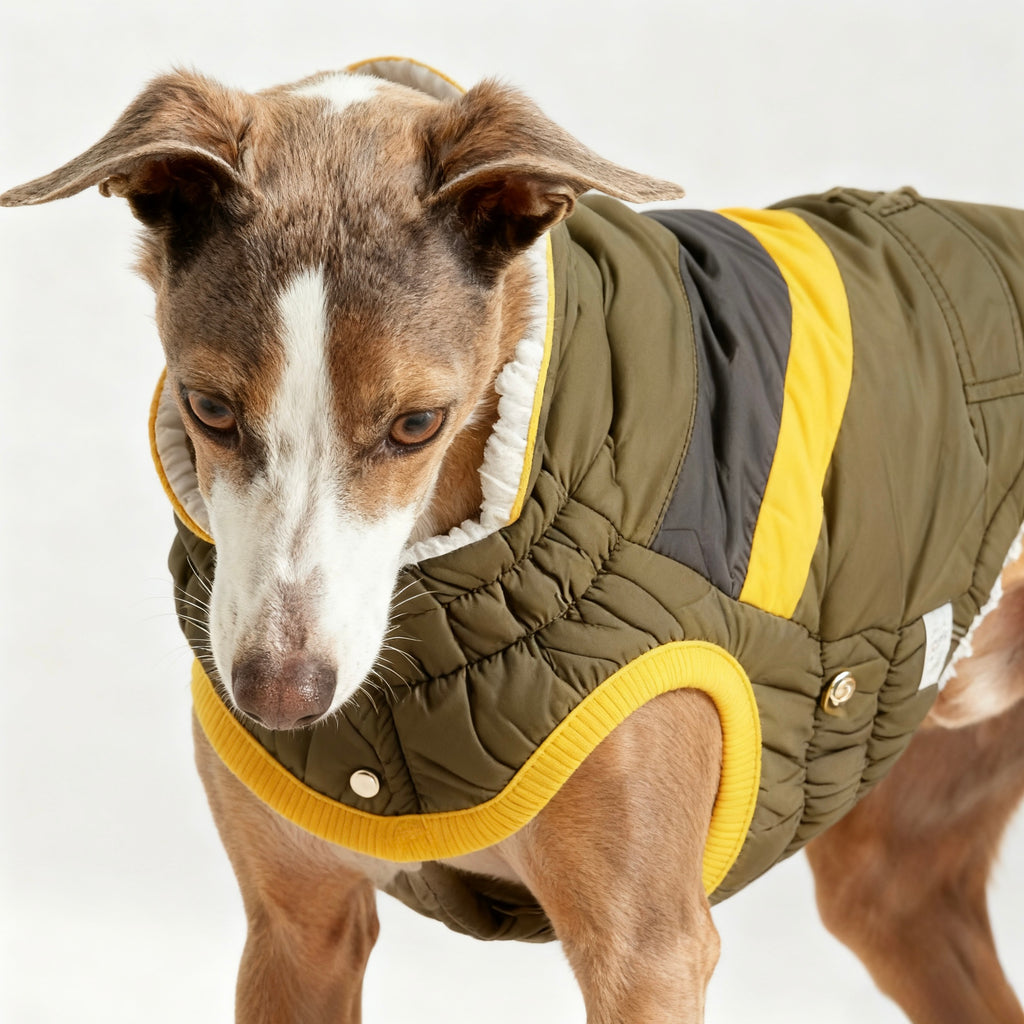 ARIMO “Trail Stripe Puffer” Dog Jacket