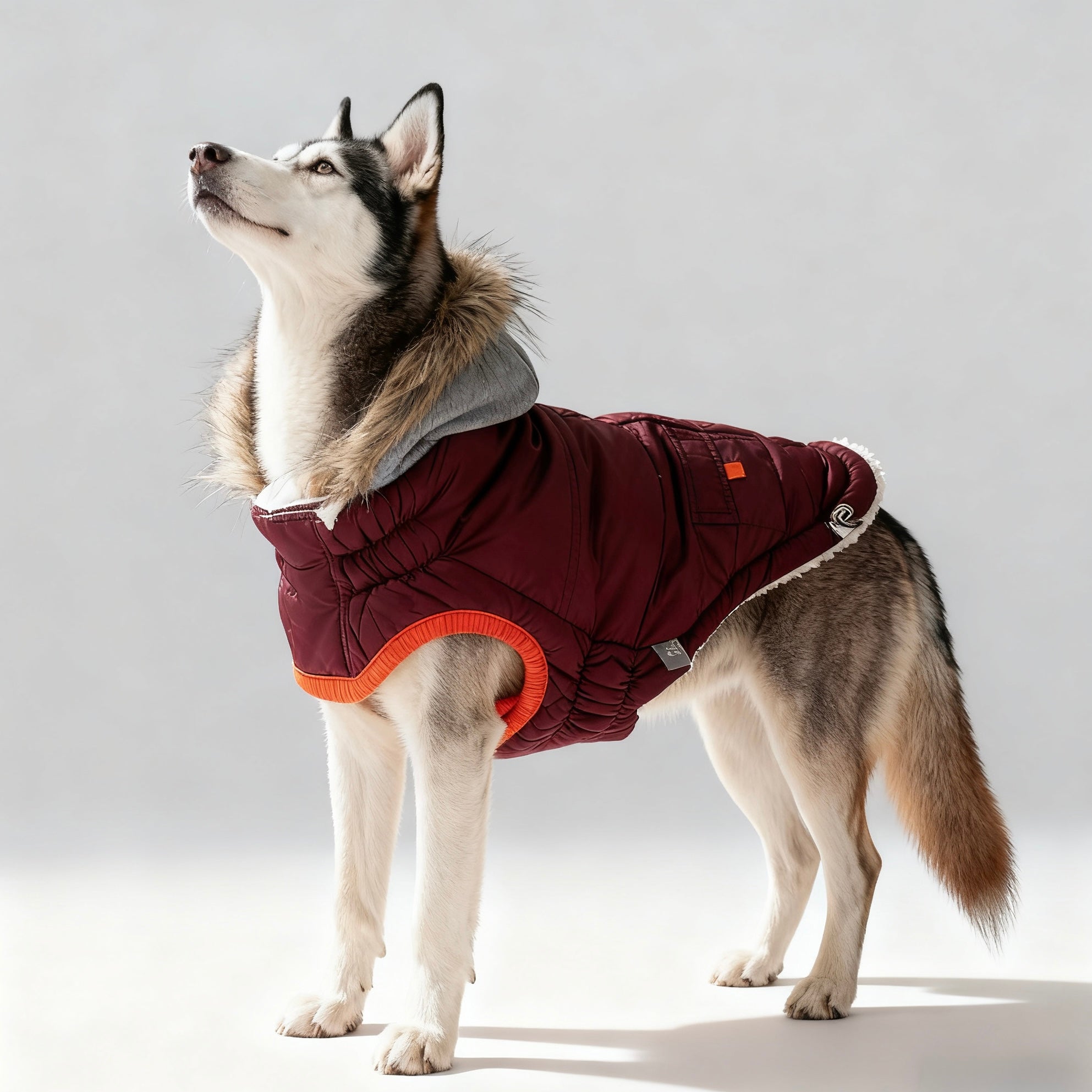 ARIMO “Winter Sailor” Dog Parka