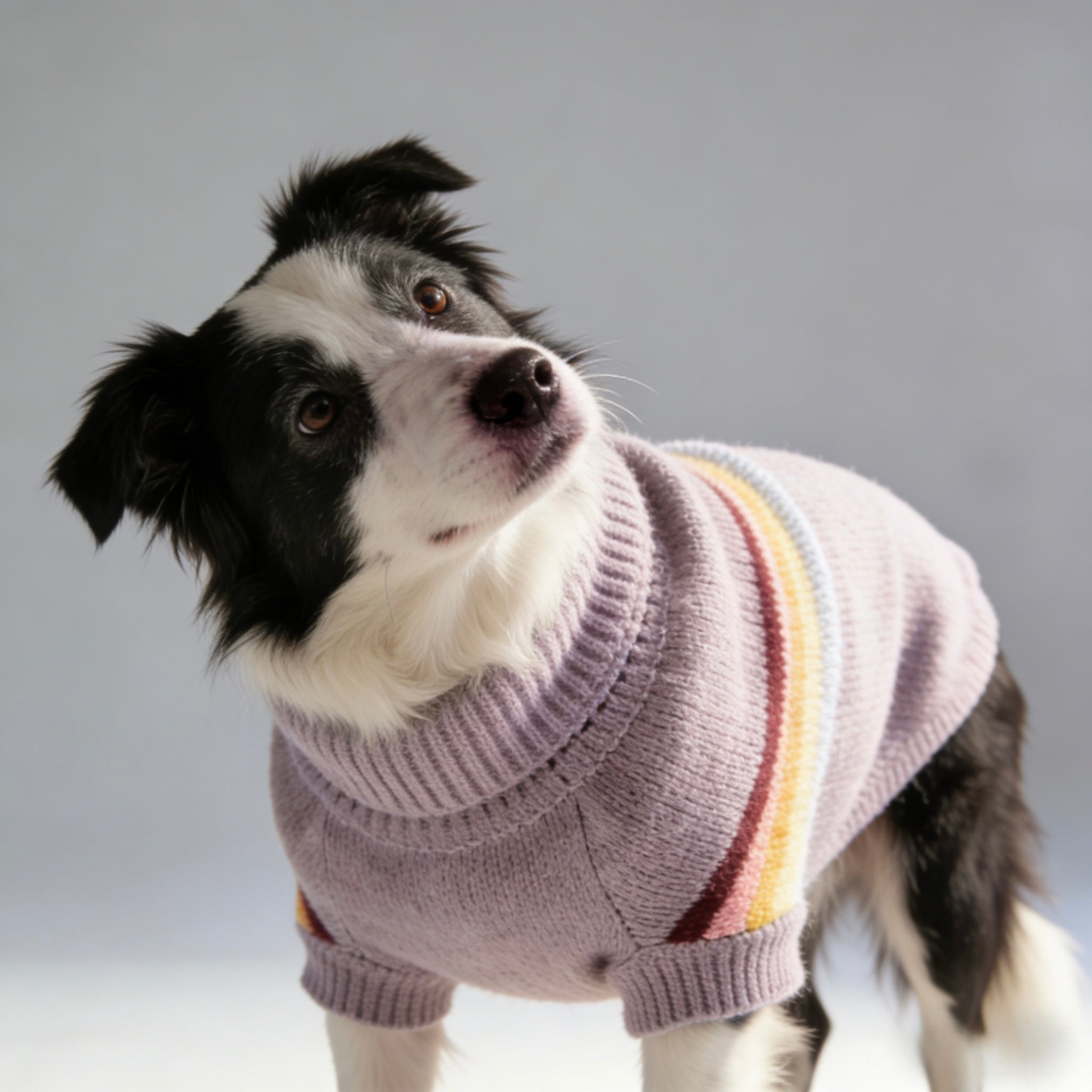 ARIMO “Retro Stripe” Dog Sweater — Lavender