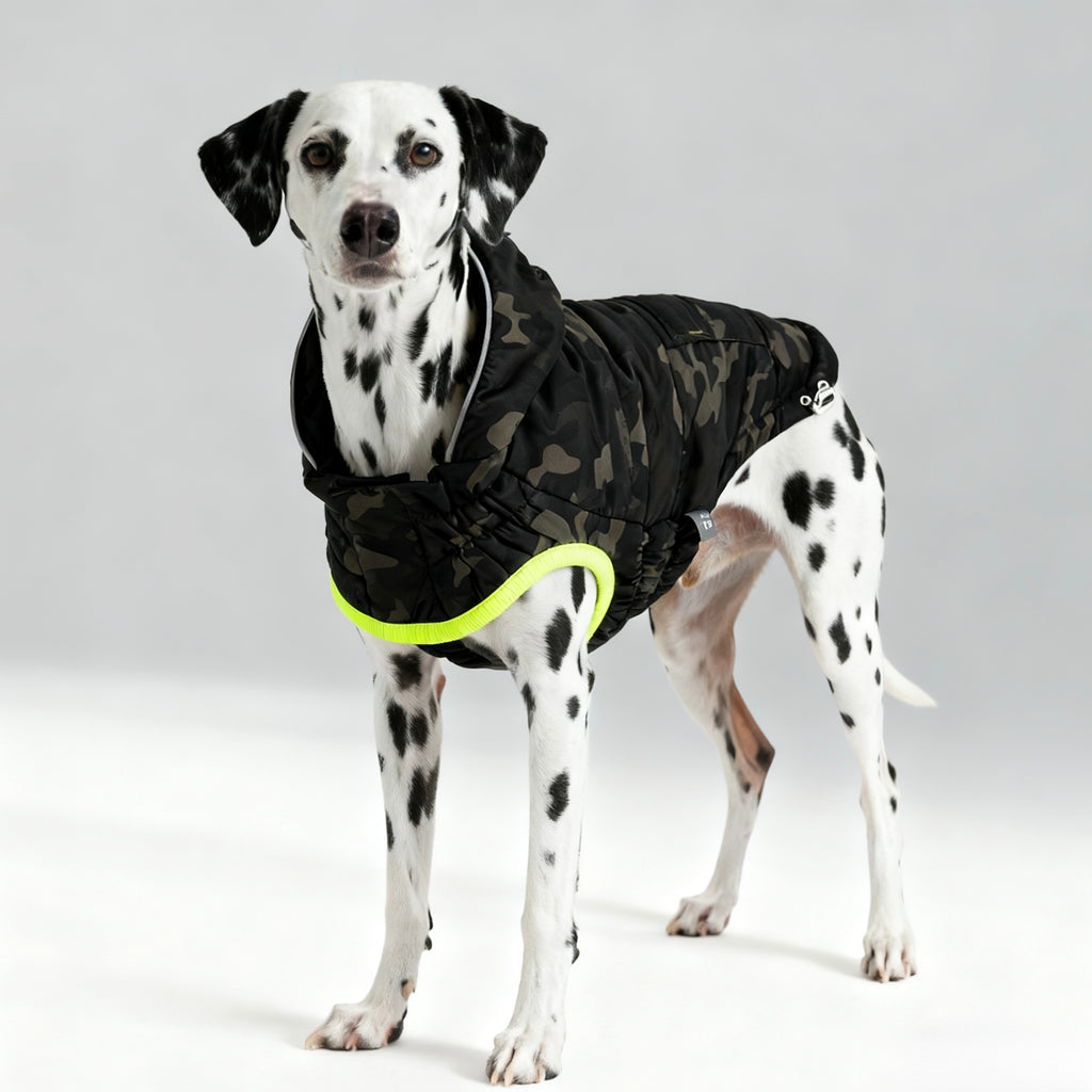 ARIMO “Eco Recycled” Dog Parka