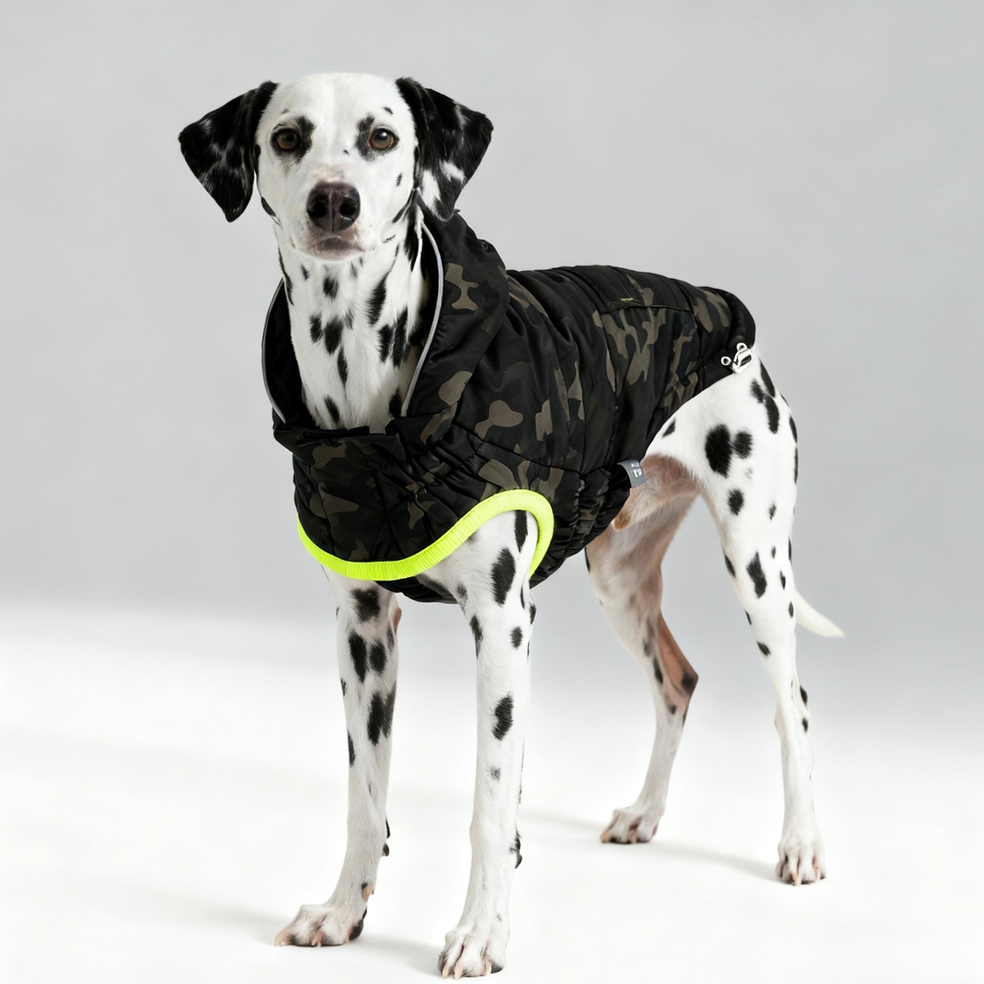 ARIMO “Eco Recycled” Dog Parka