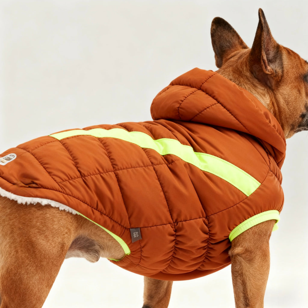 ARIMO “Super Puff” Dog Parka