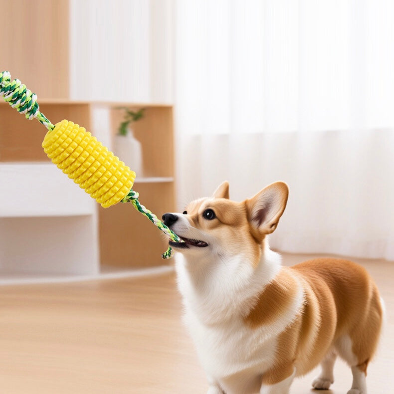 Corn Chew Toy for Dogs