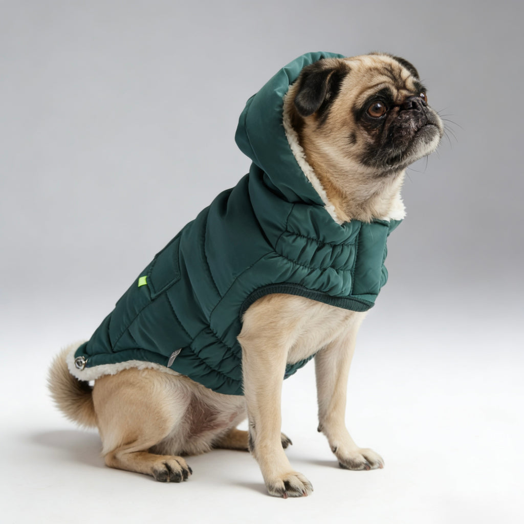 ARIMO “Super Puff” Dog Parka — Teal