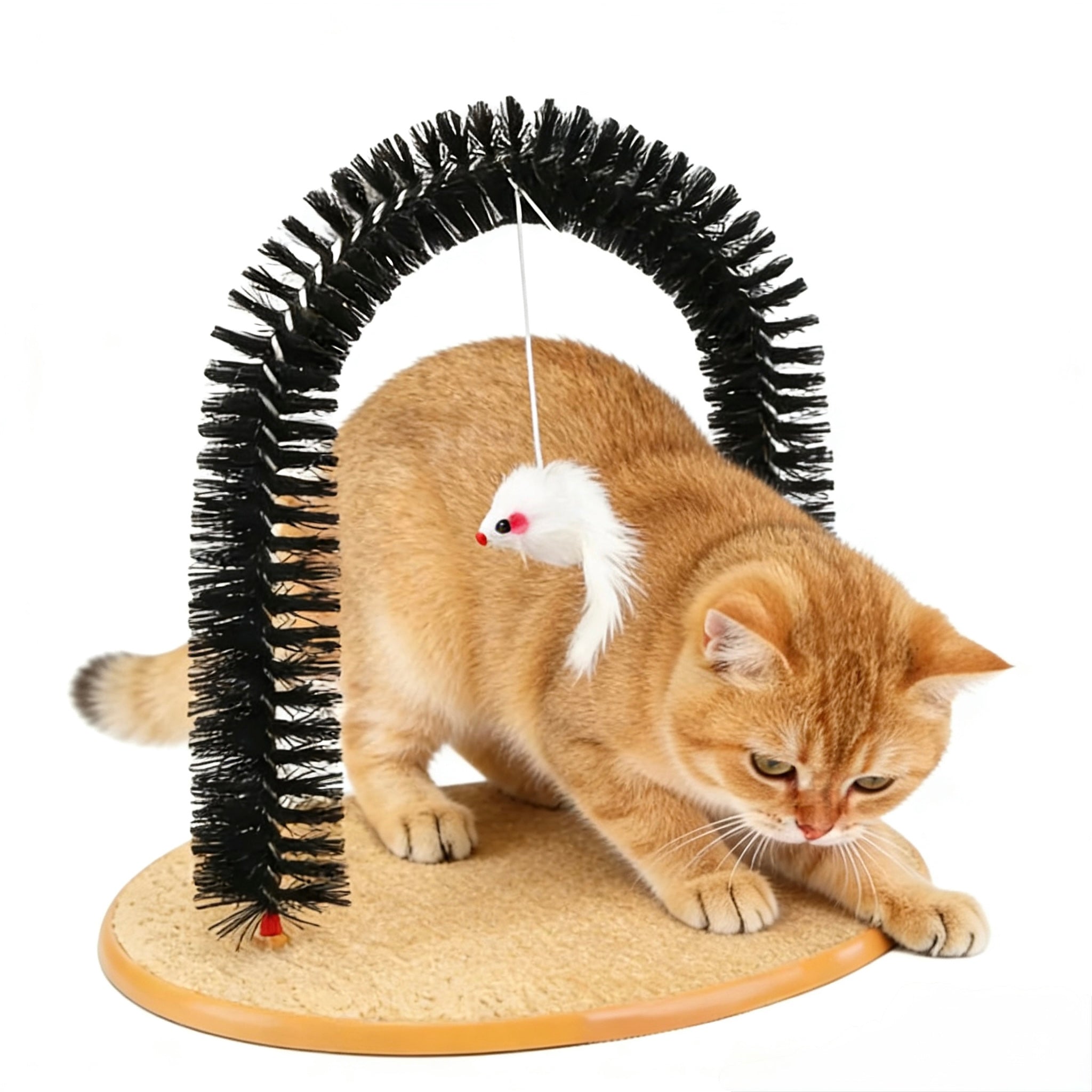 ARIMO Self-Grooming Cat Arch Toy
