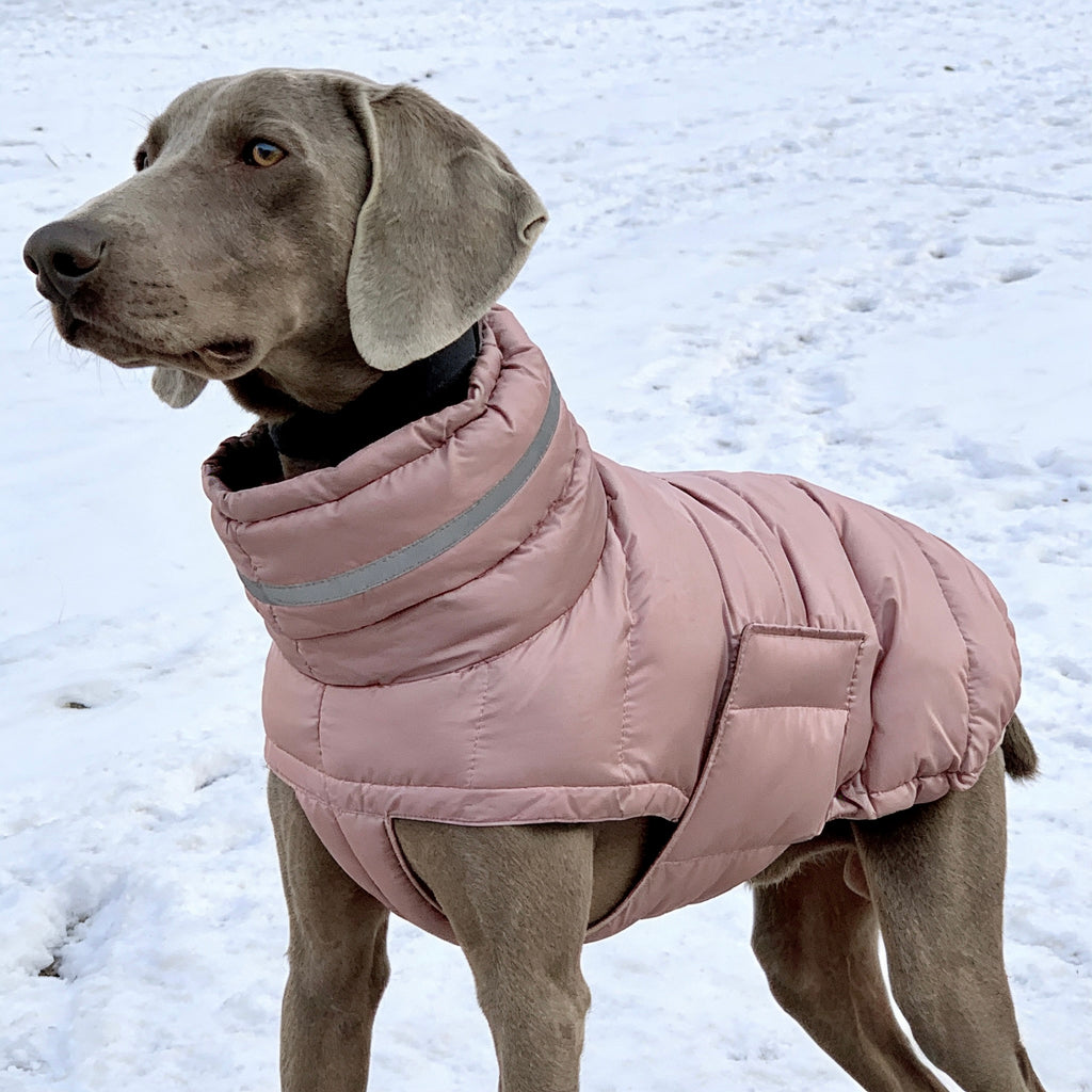 ARIMO “Reflective Puffer” Winter Dog Jacket