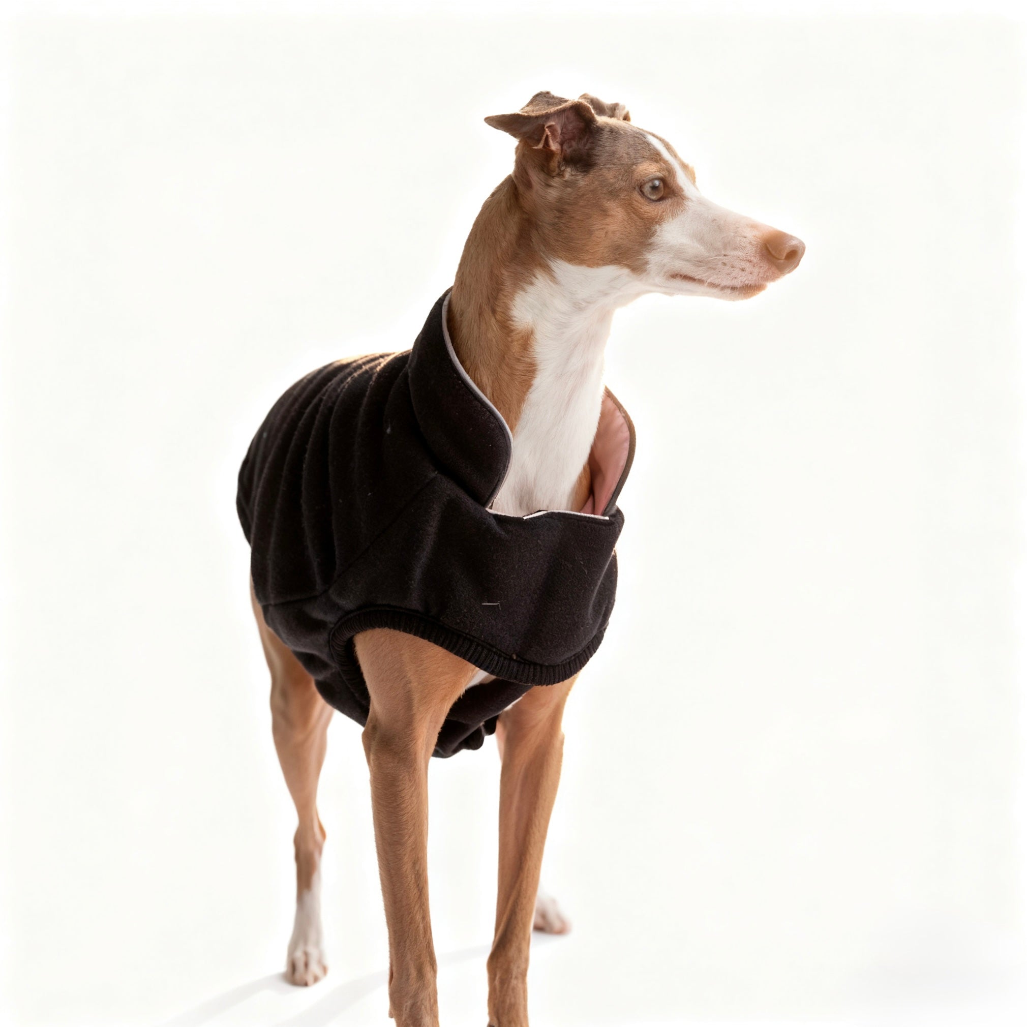 ARIMO “Reversible Chalet” Dog Coat