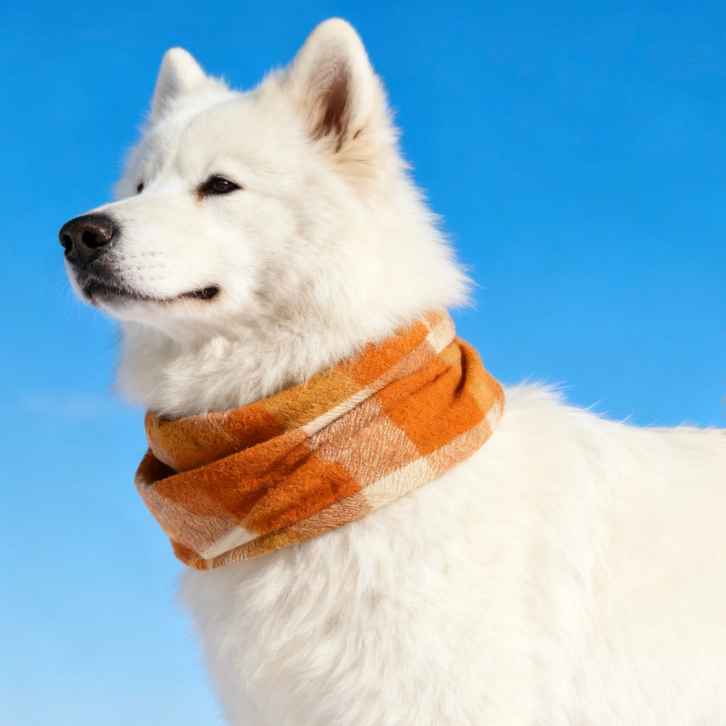 ARIMO “Autumn Warmth” Dog Scarf