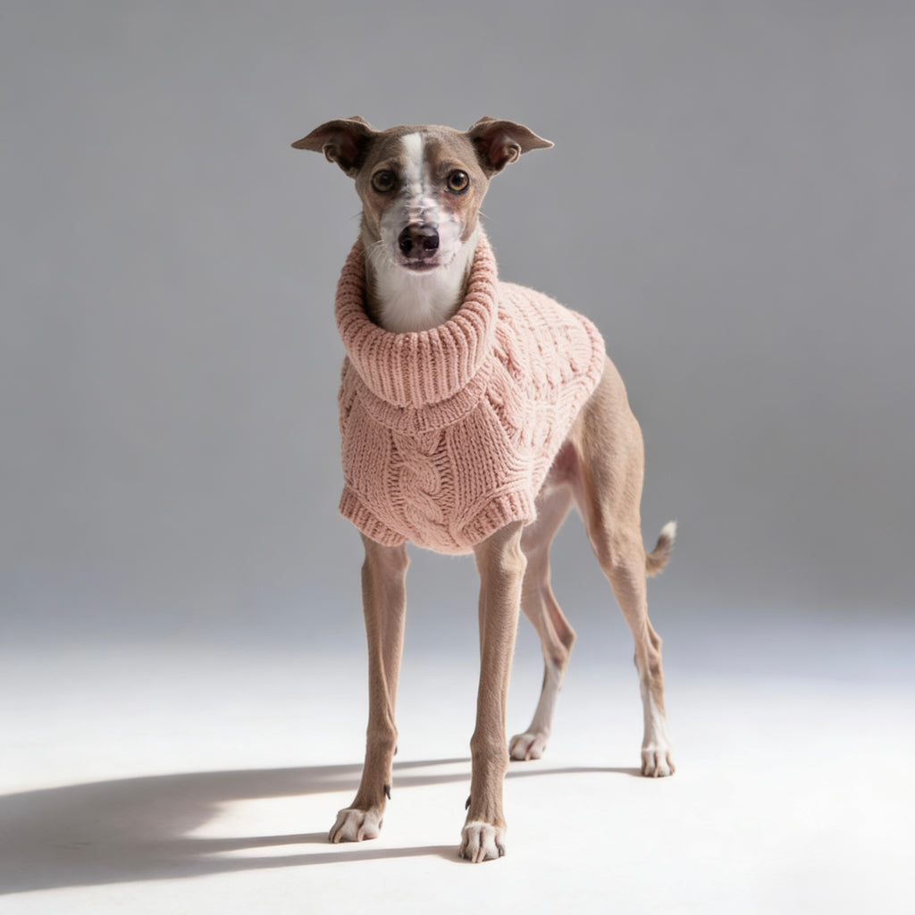 ARIMO “Chunky Cable-Knit” Dog Sweater — Pink