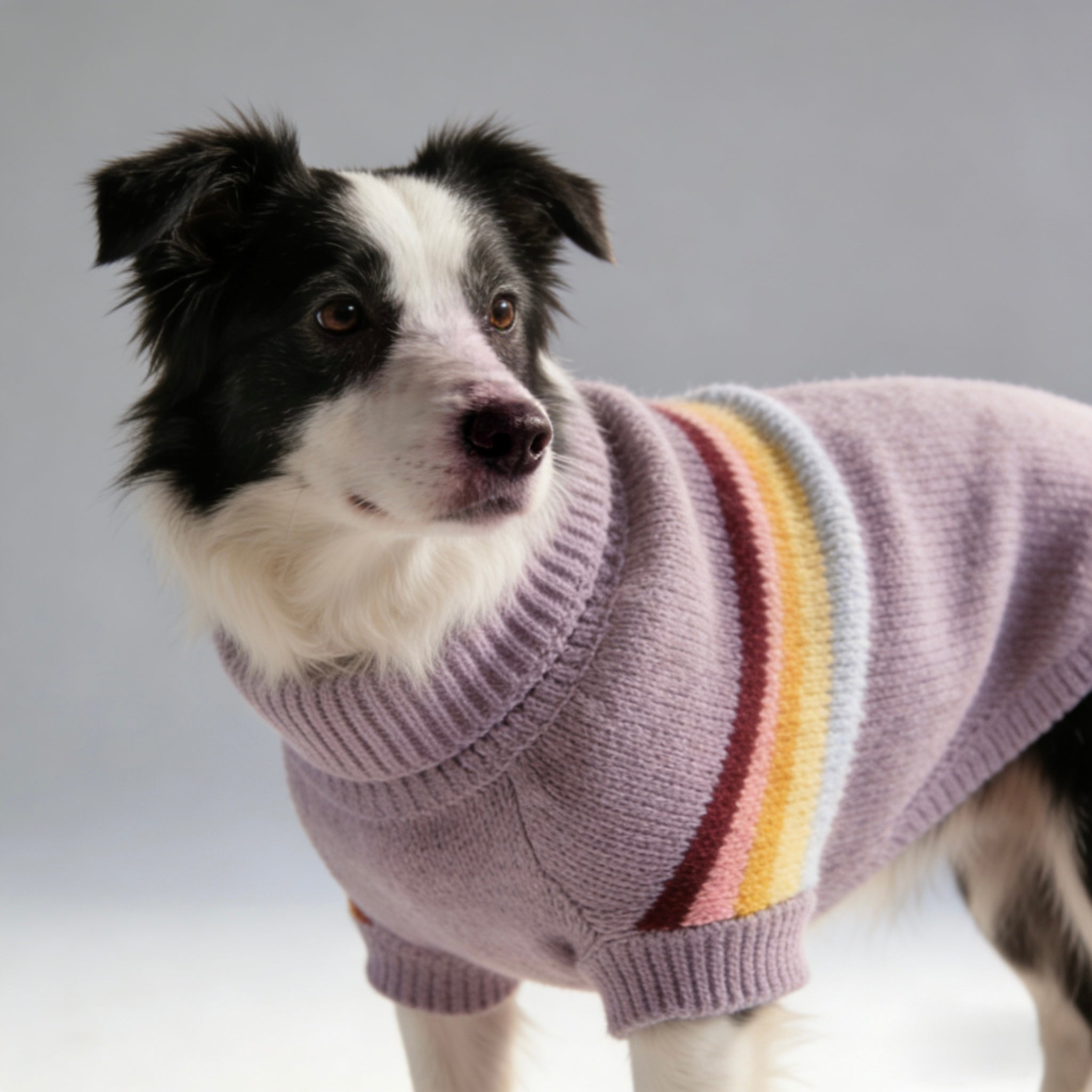 ARIMO “Retro Stripe” Dog Sweater — Lavender